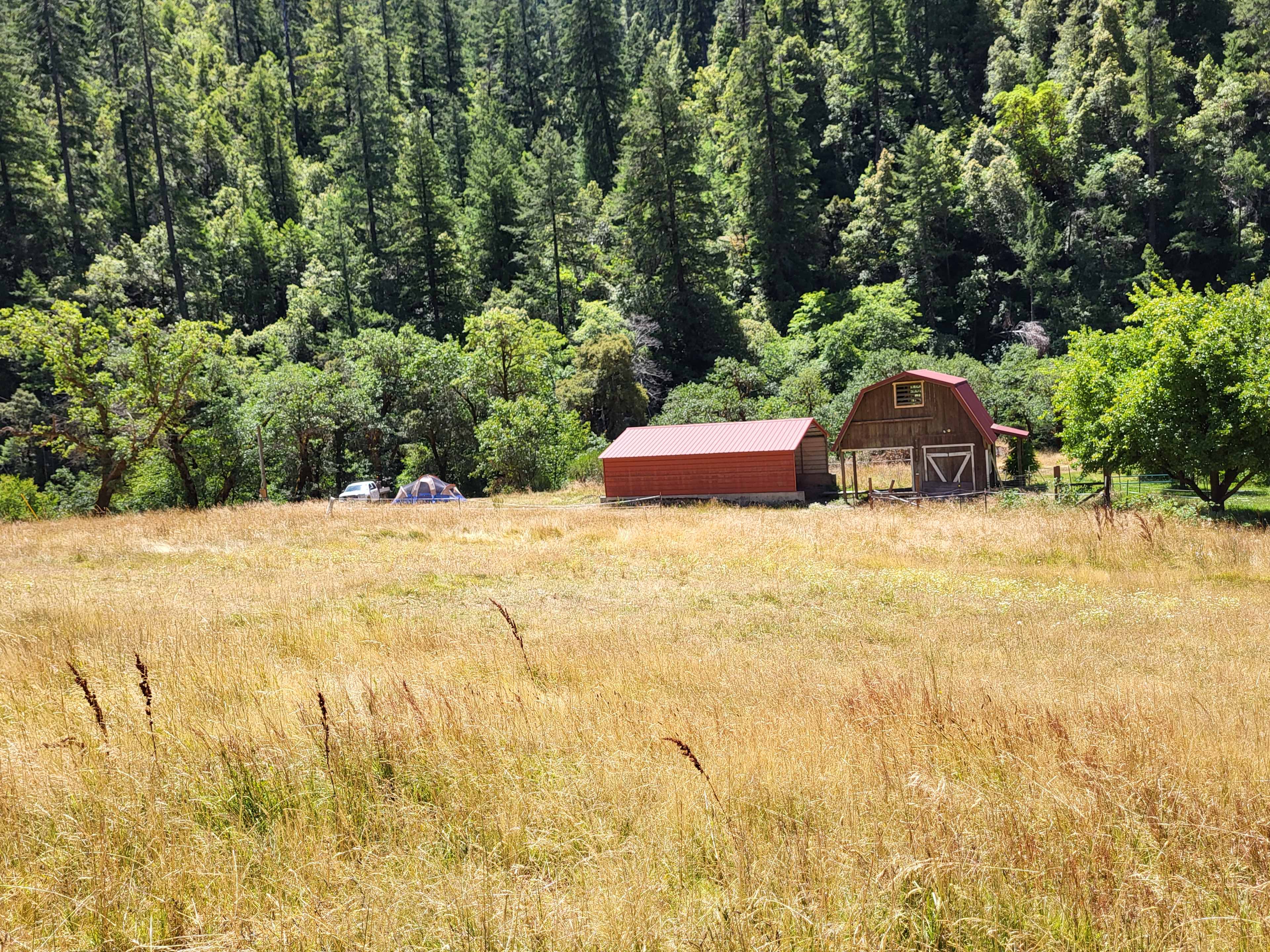 Angel Ranch Horse Camp