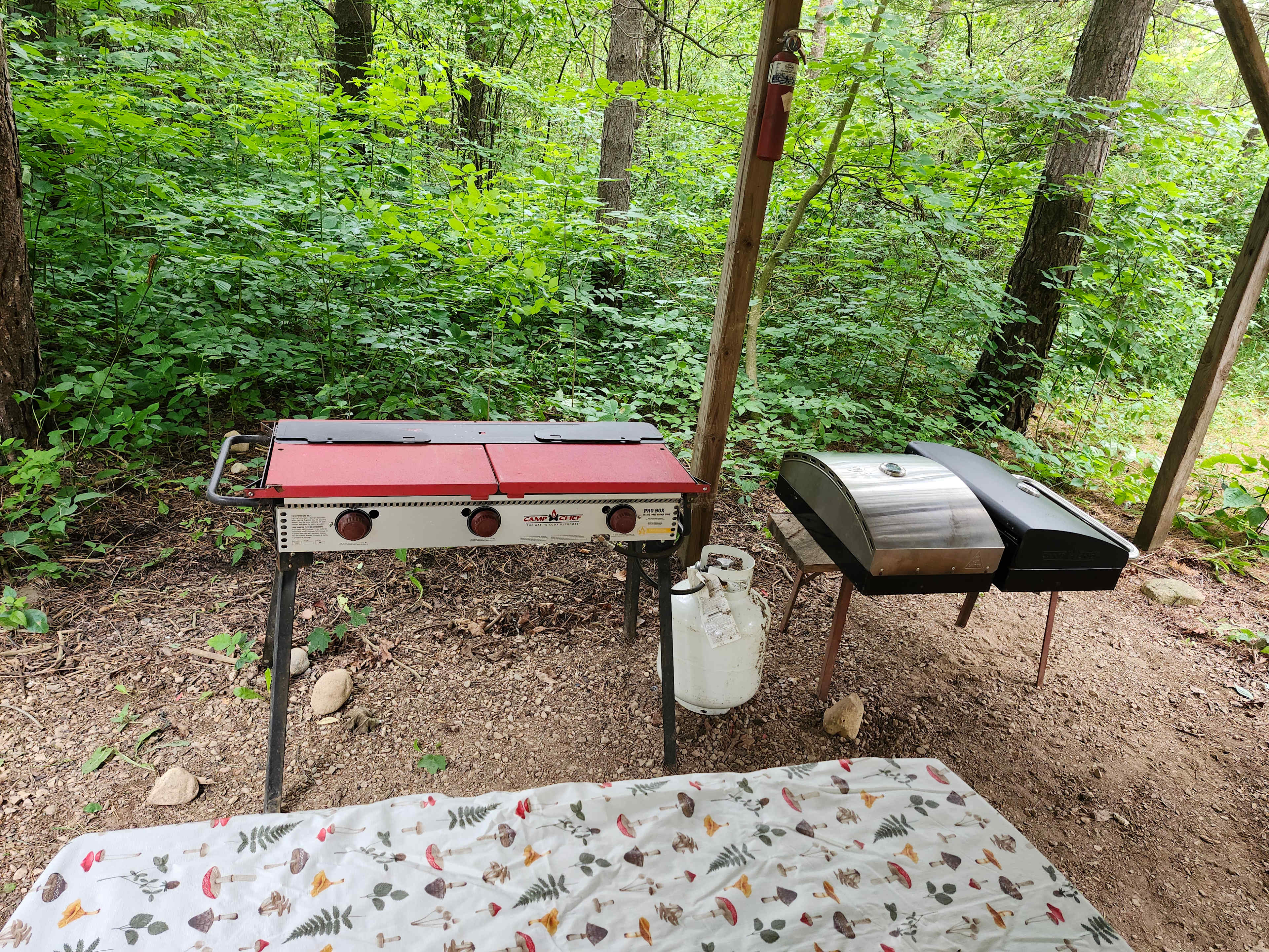 Picture of the site
