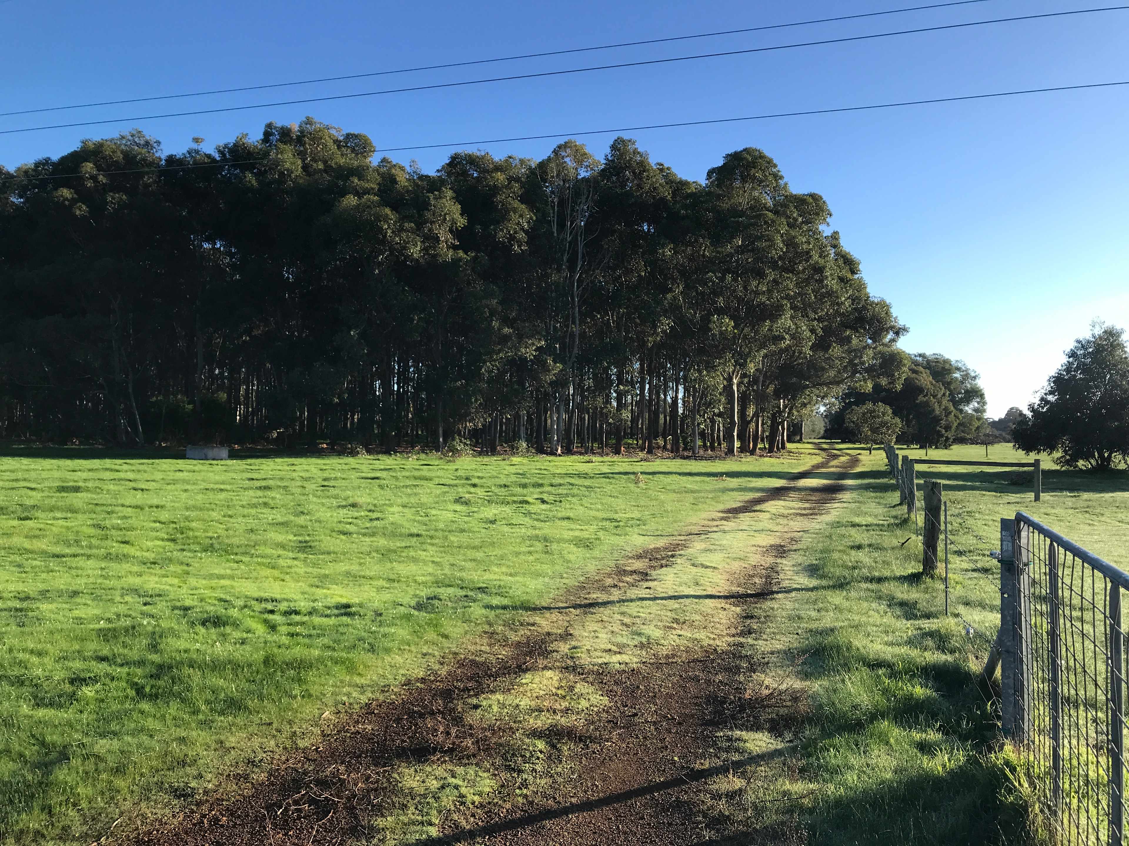 Coastal Farm Stay