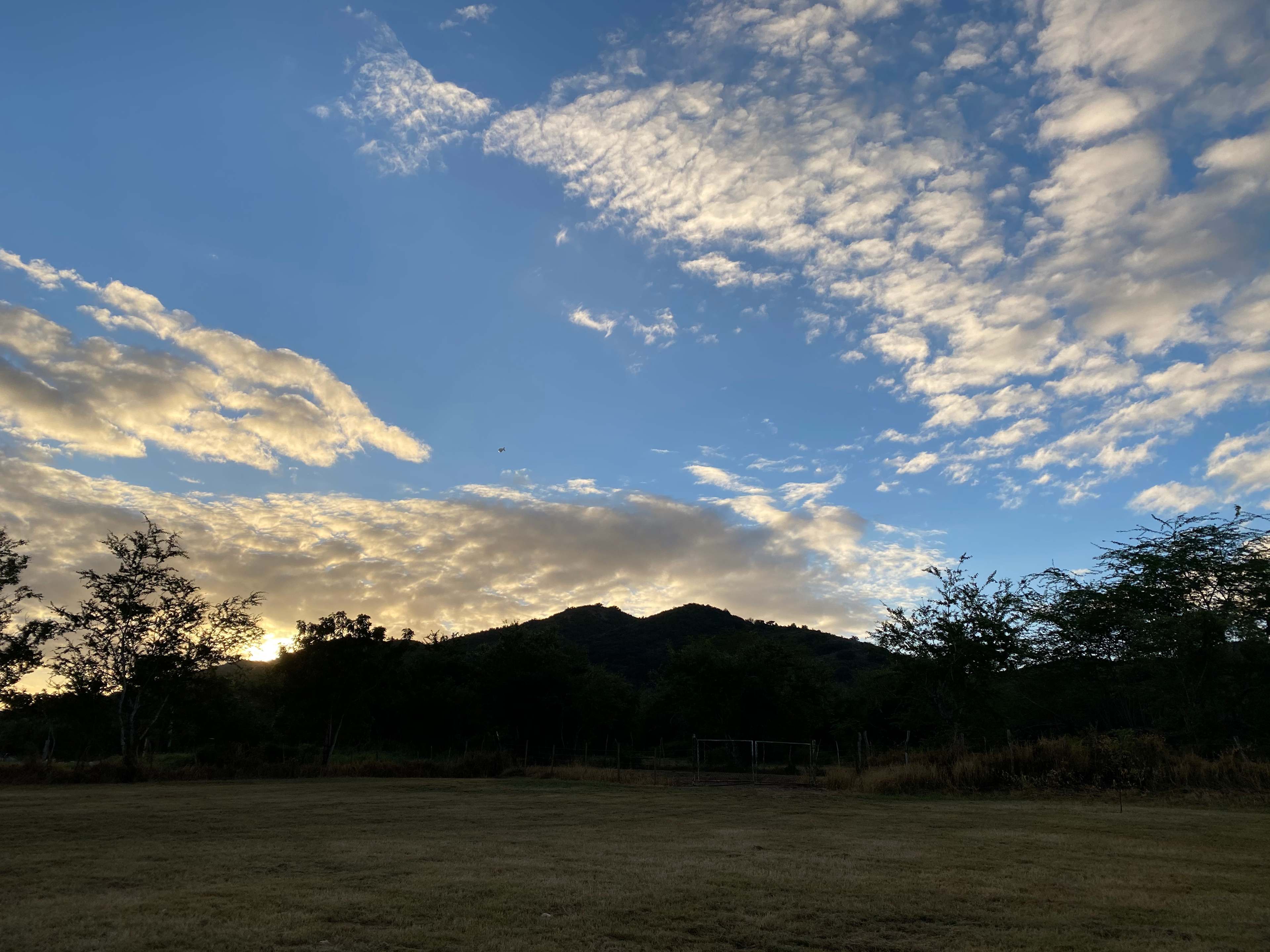 Inriri Farm Cabo Rojo PR