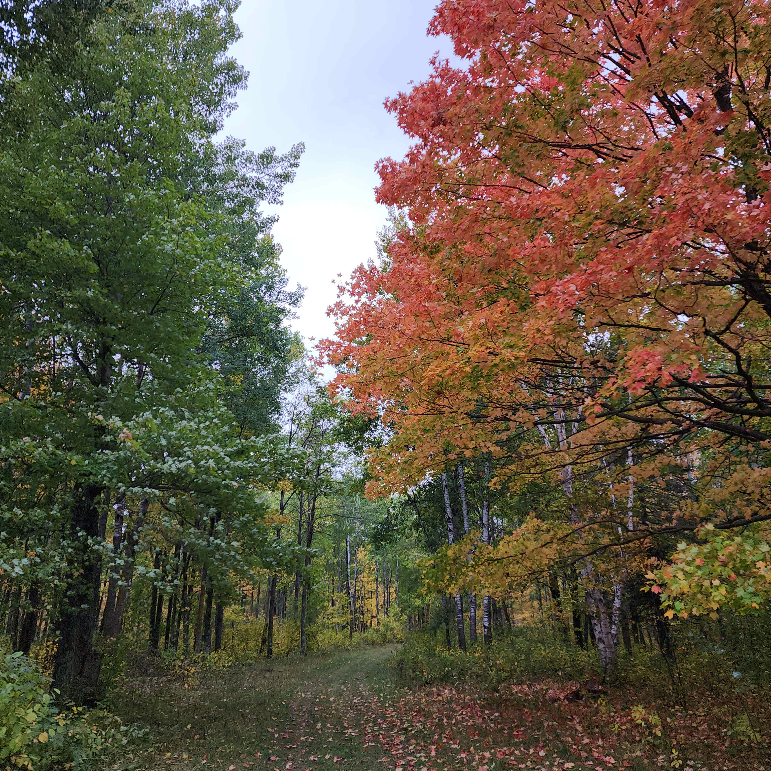 The fall leaves are spectacular and make for great photo opportunities! 