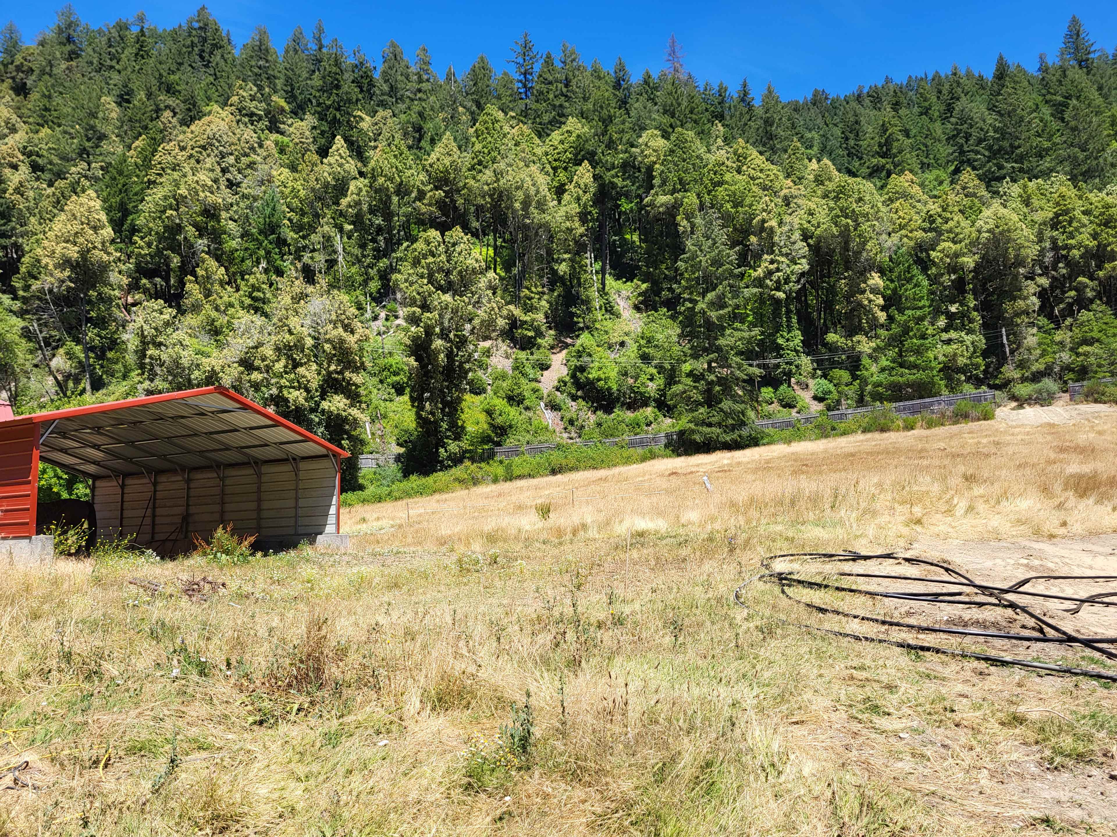 Angel Ranch Horse Camp