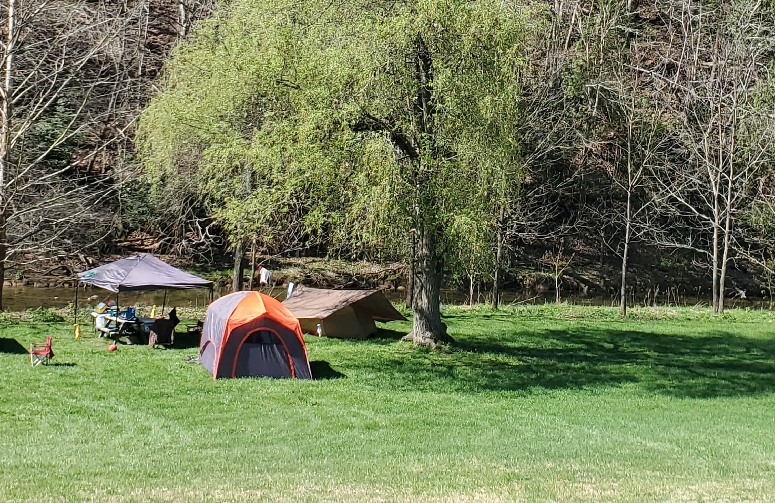 Picture of the site