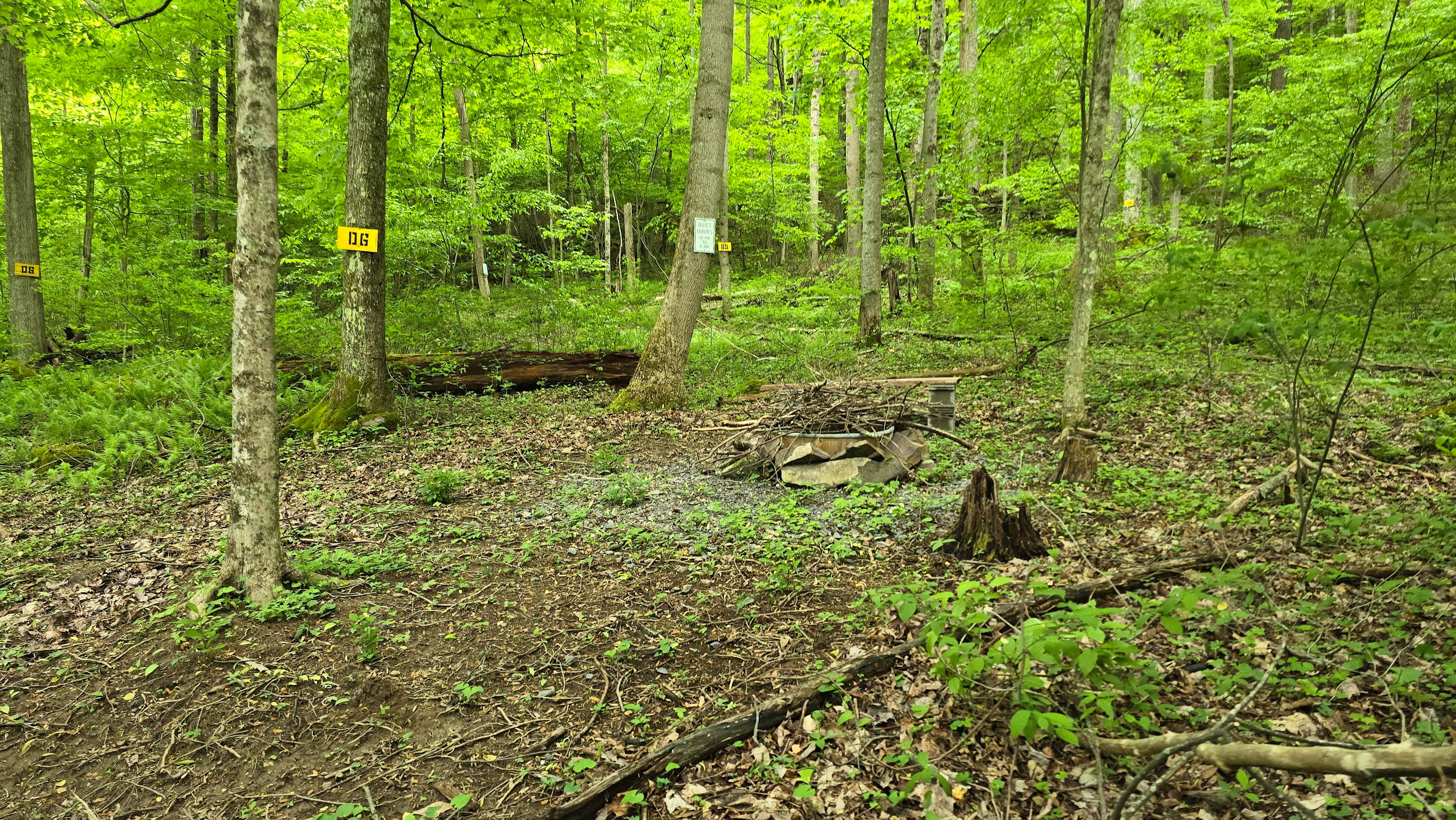 Picture of the site