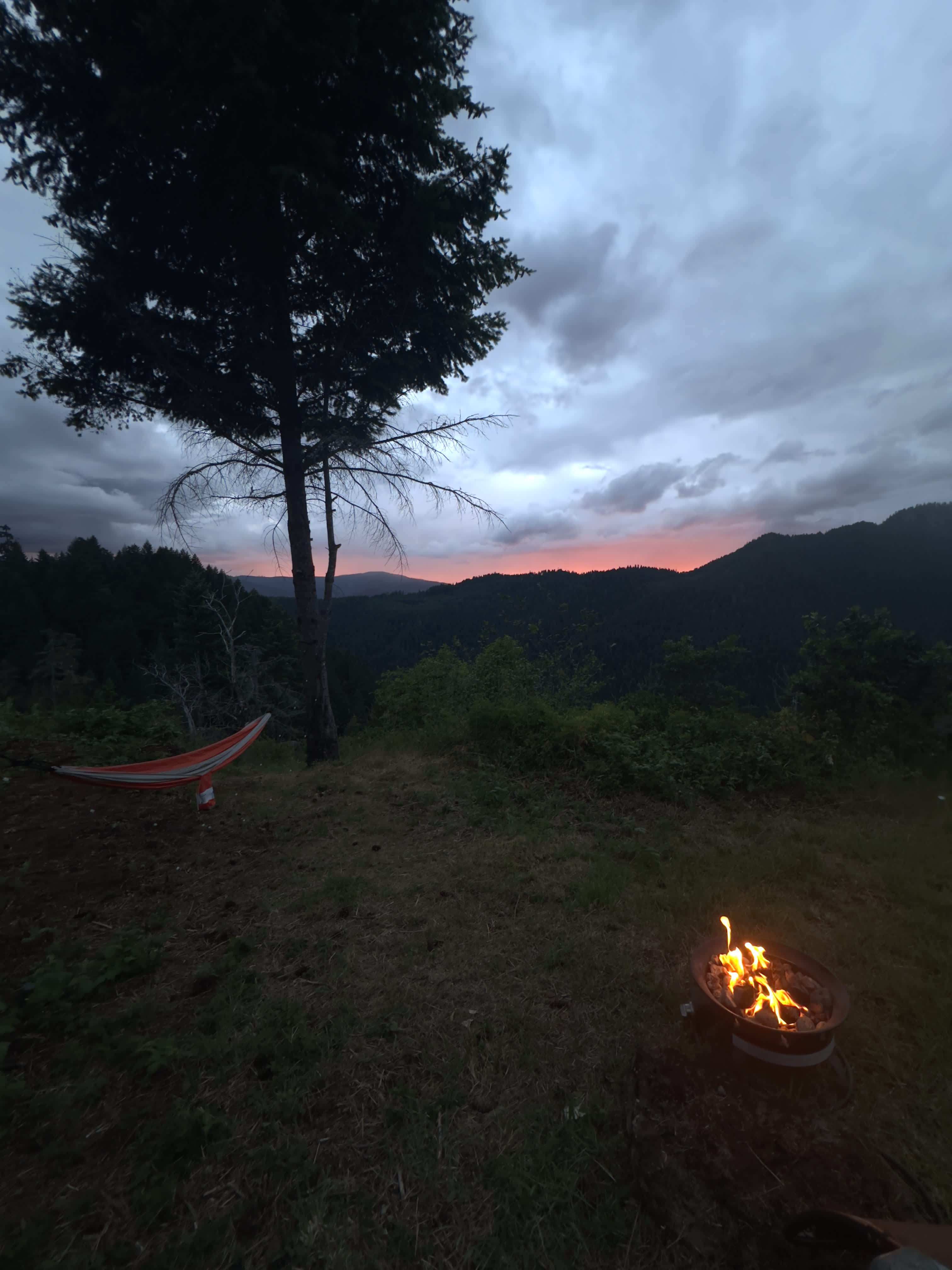 Moon Shadow Meadows-Closing July 8!