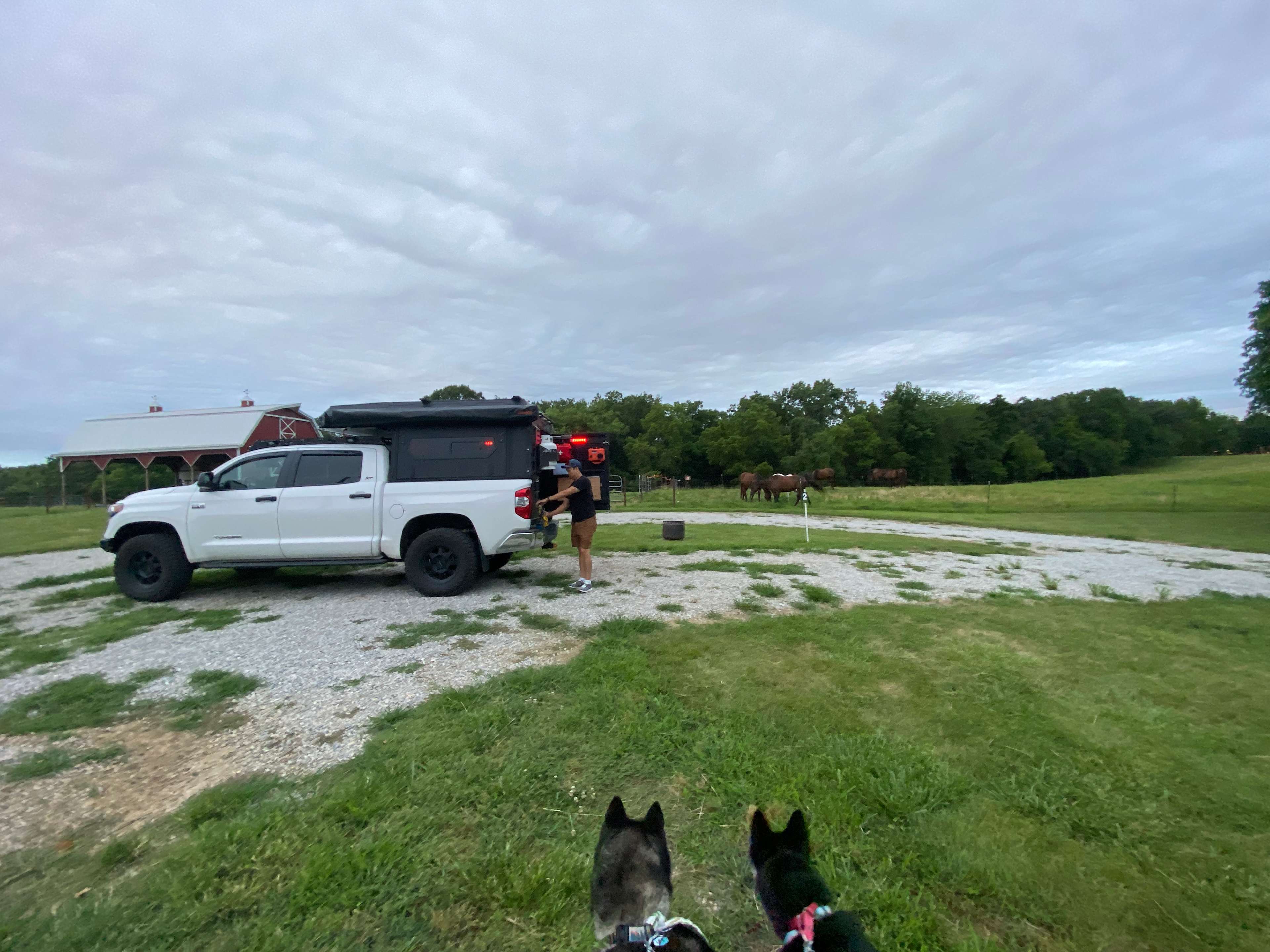 Picture of the site