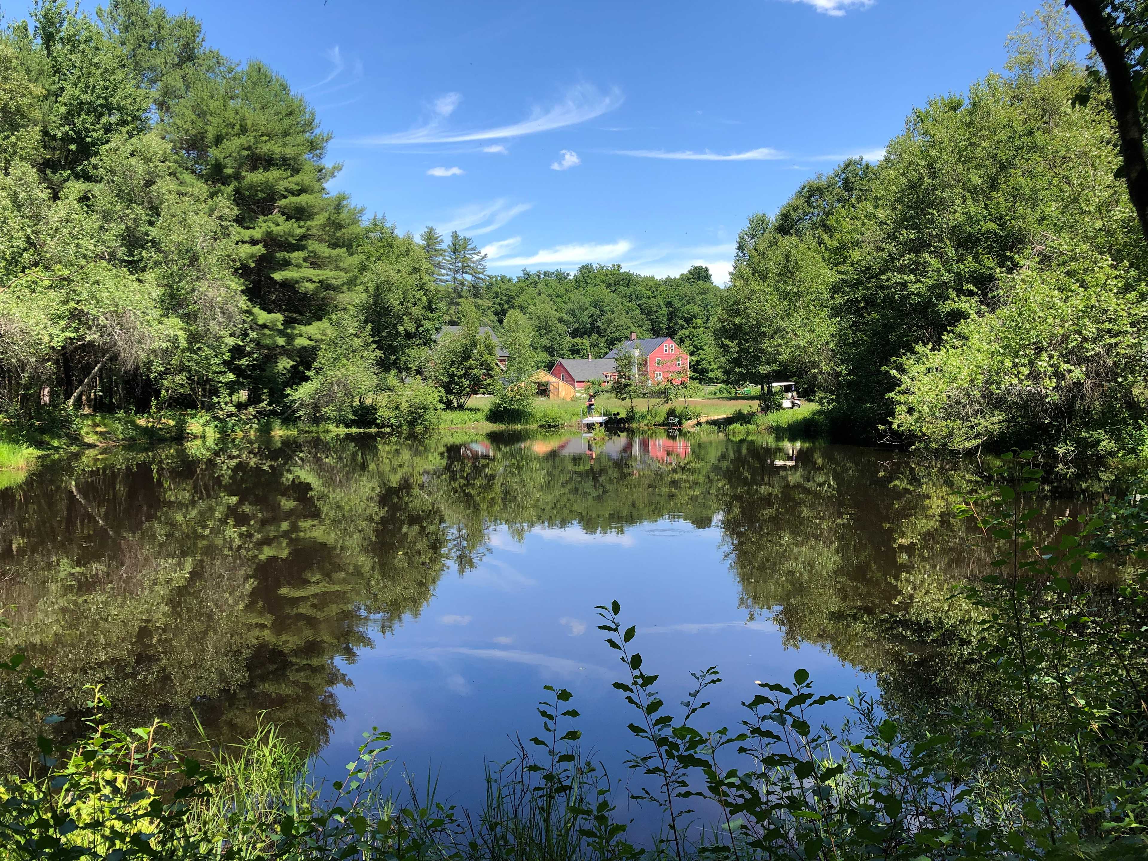 Camp Frogginton