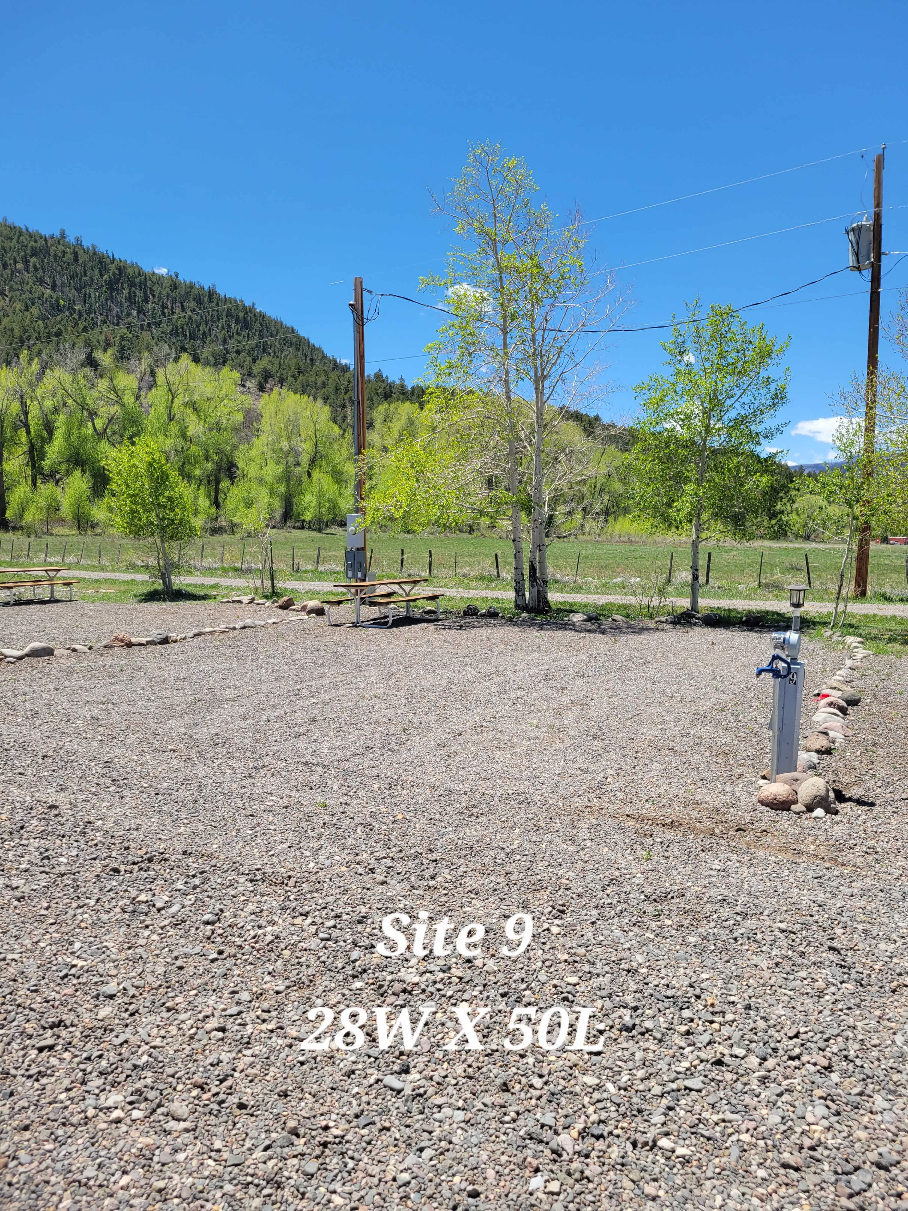 Picture of the site