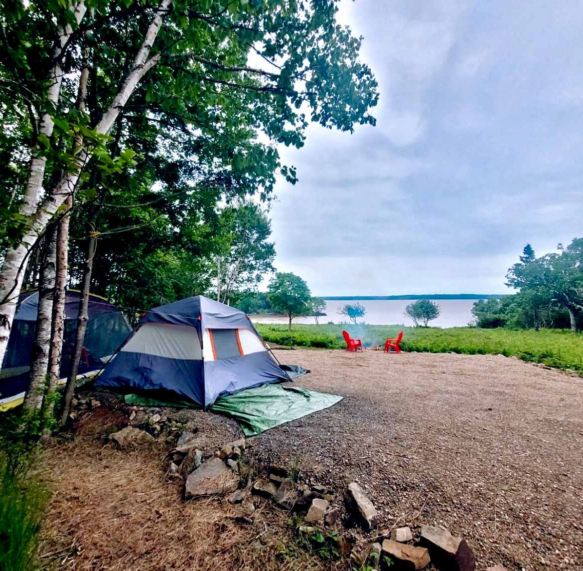 Picture of the site