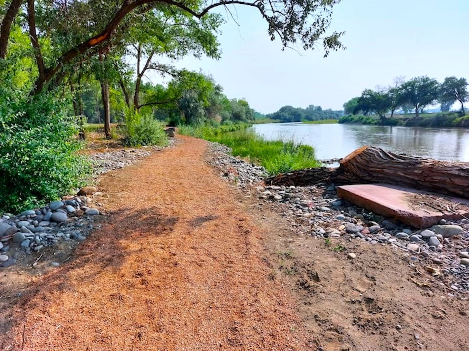 Picture of the site