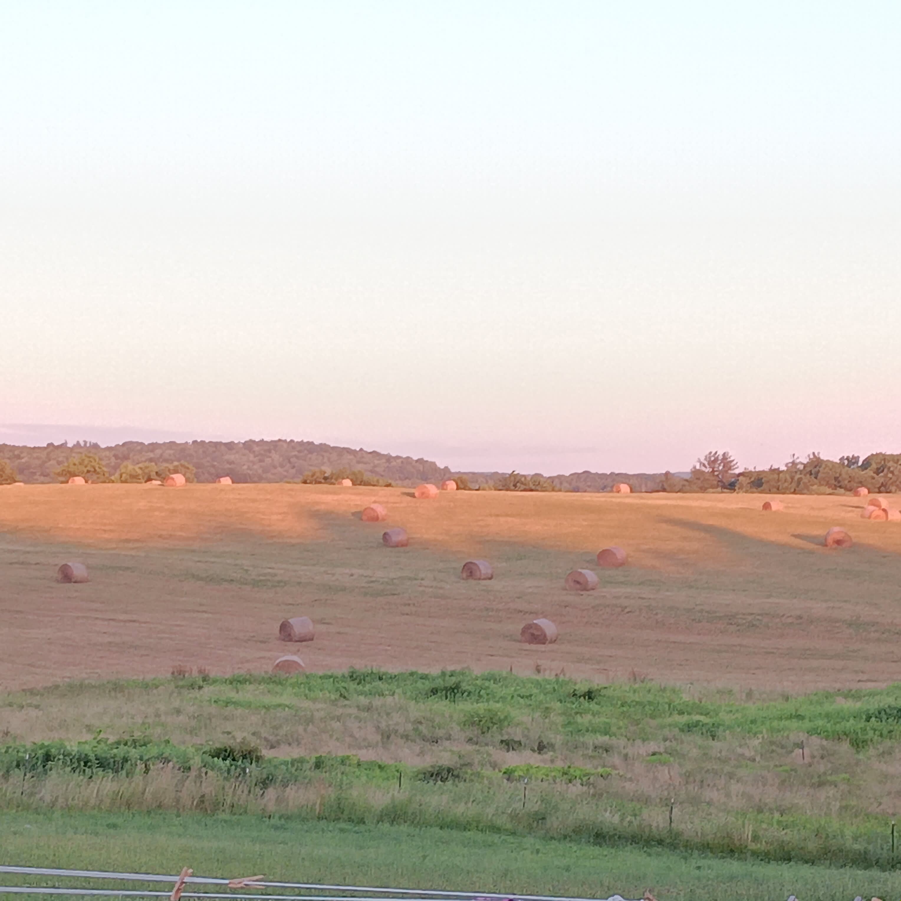 Ricketts Homestead