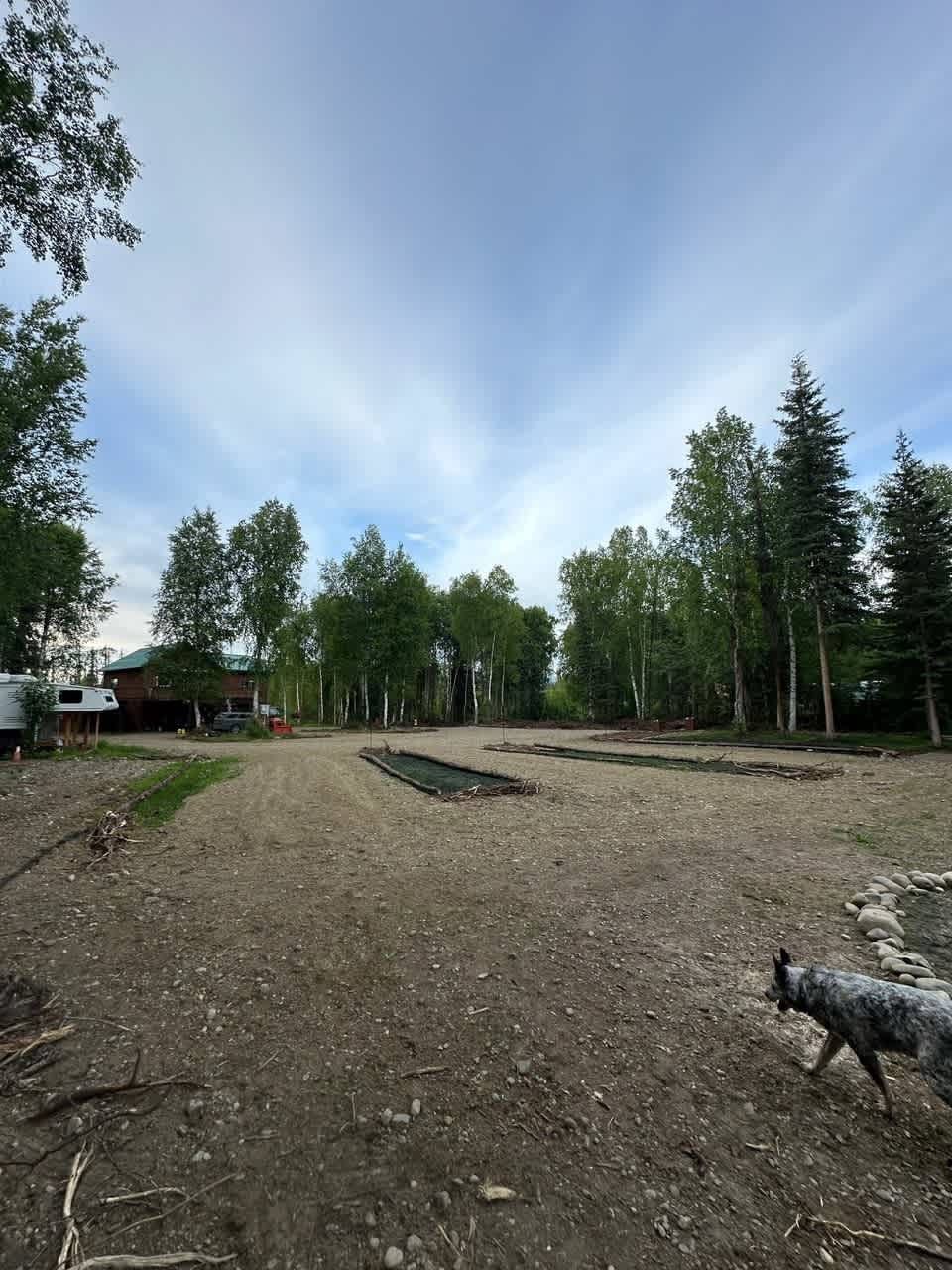 Picture of the site
