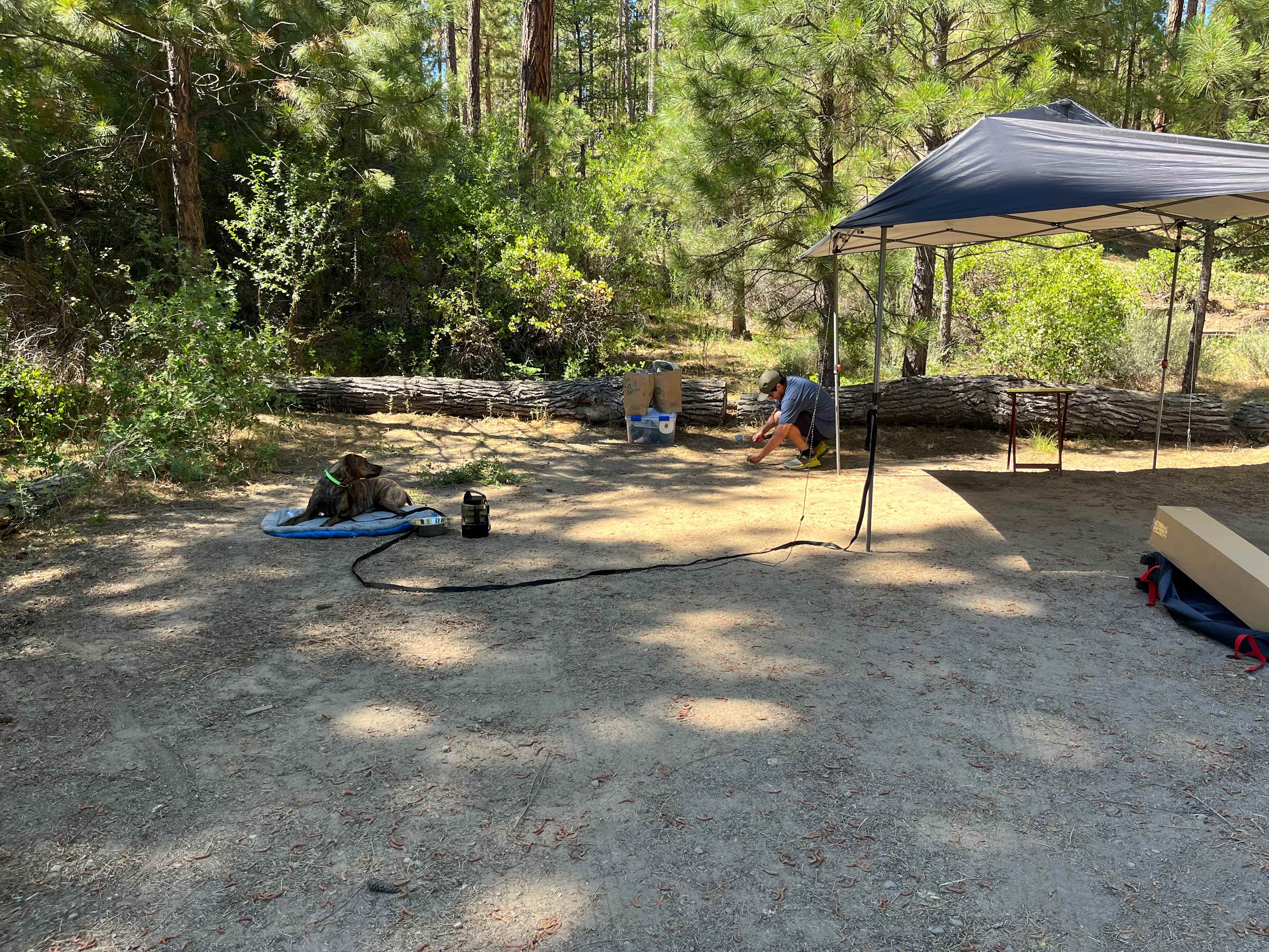 Picture of the site
