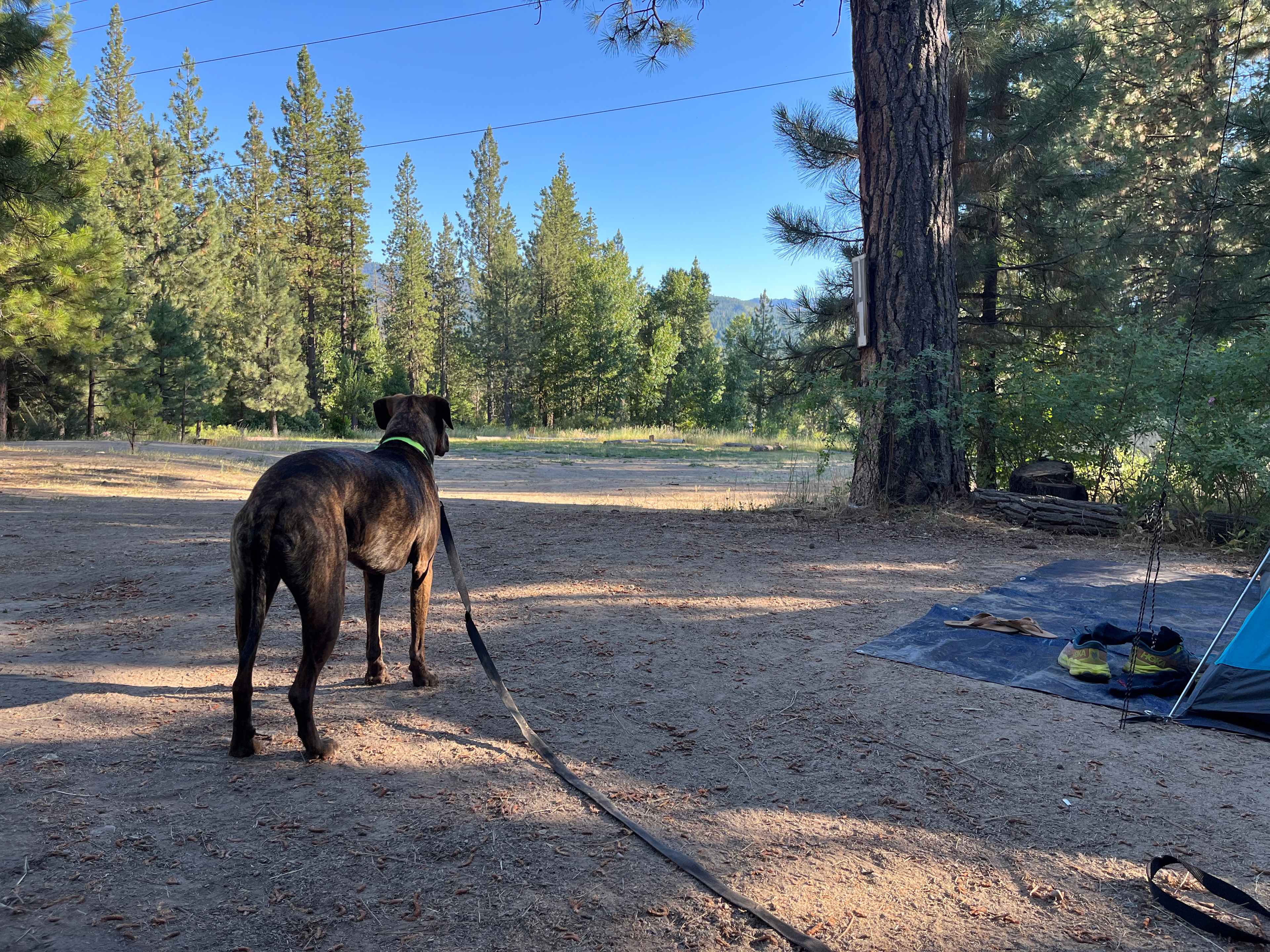 Camp Shady Meadow