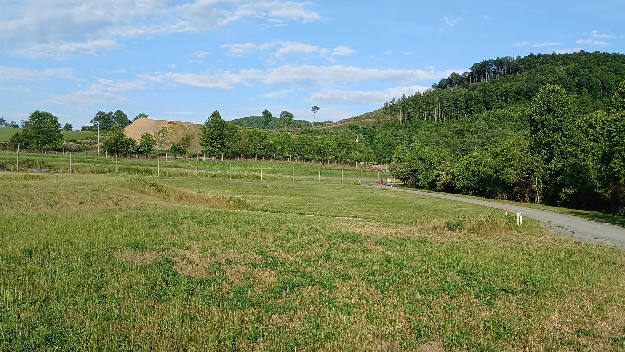 Picture of the site