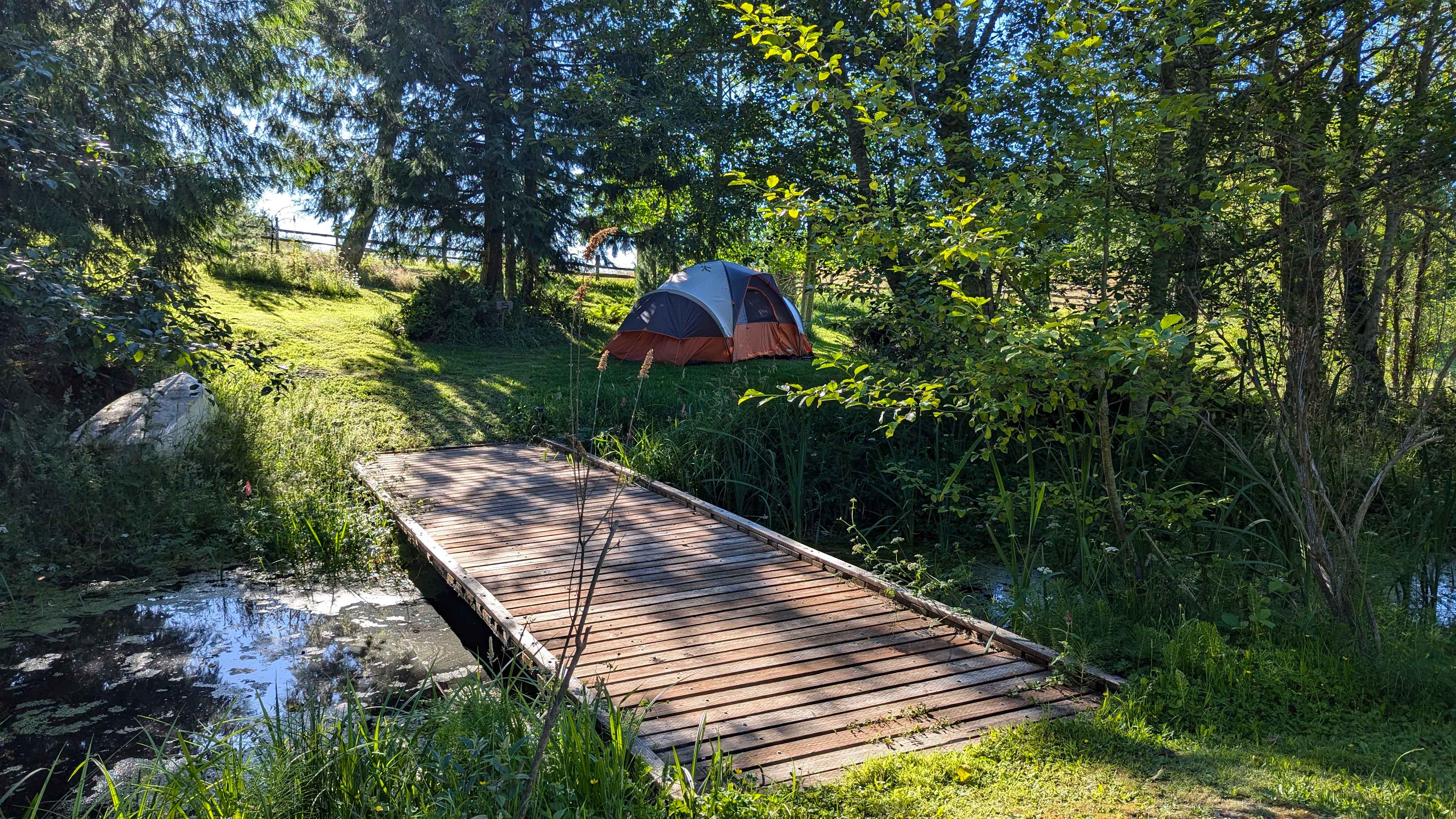 Picture of the site