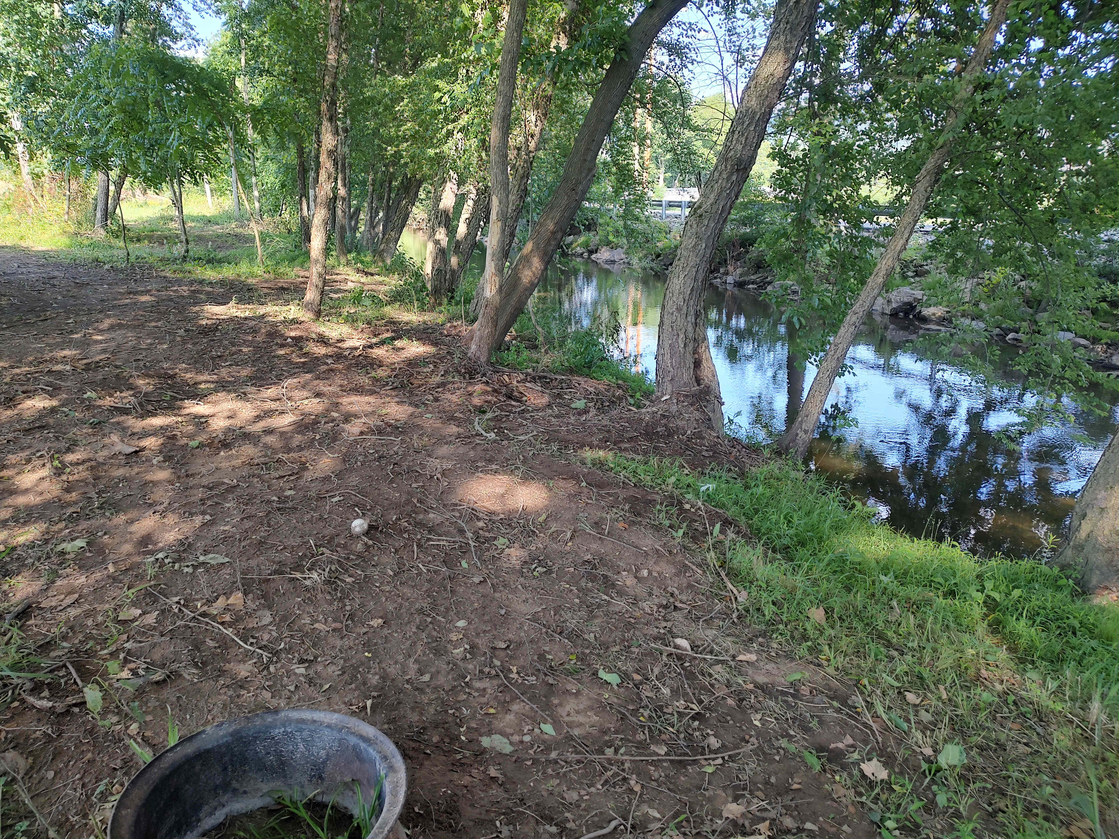 Picture of the site