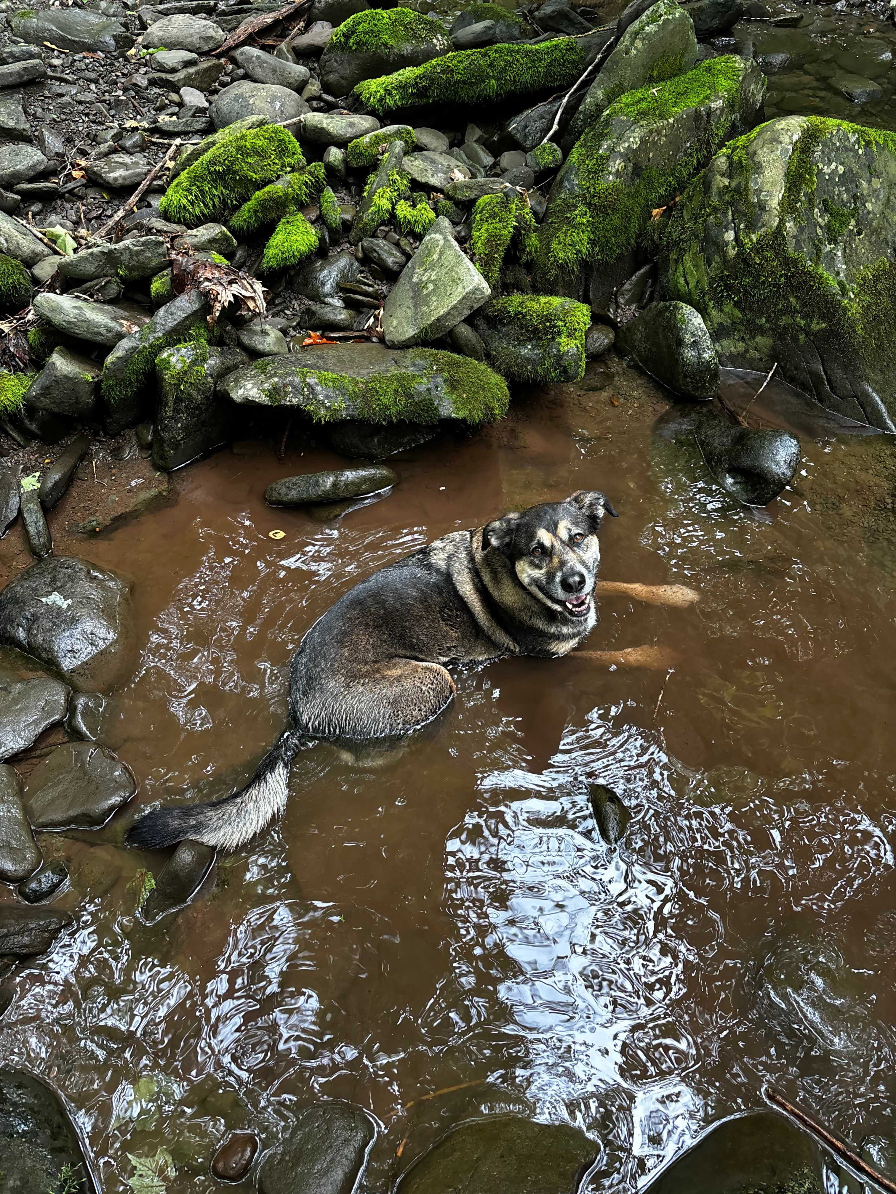 Triple Creek