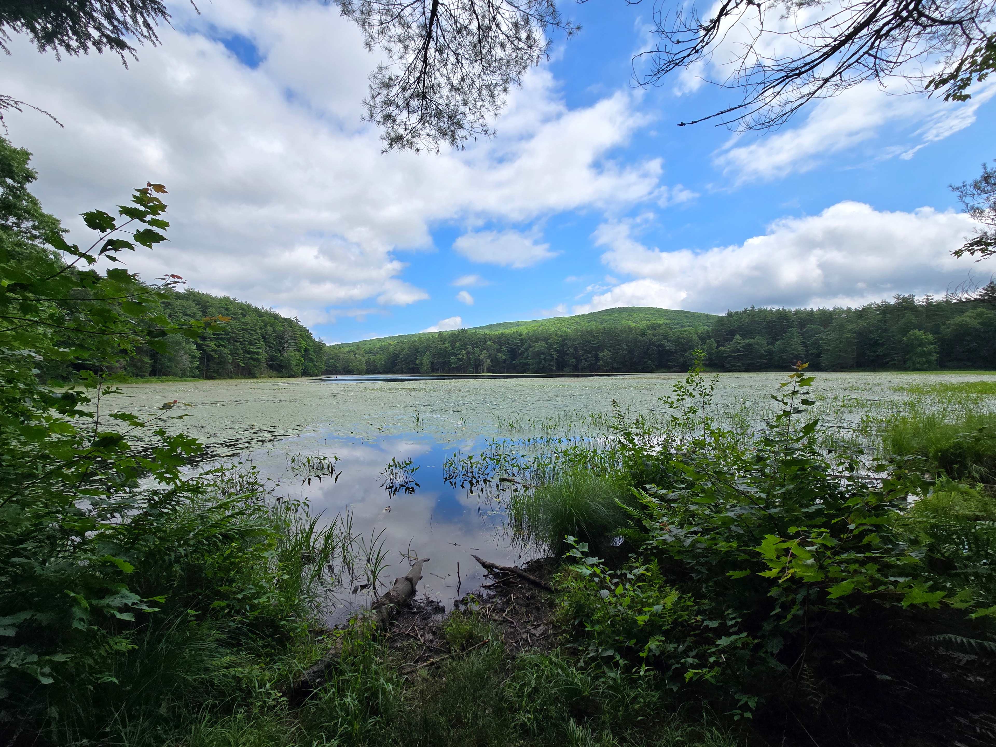 Streamside Camping in Leverett!
