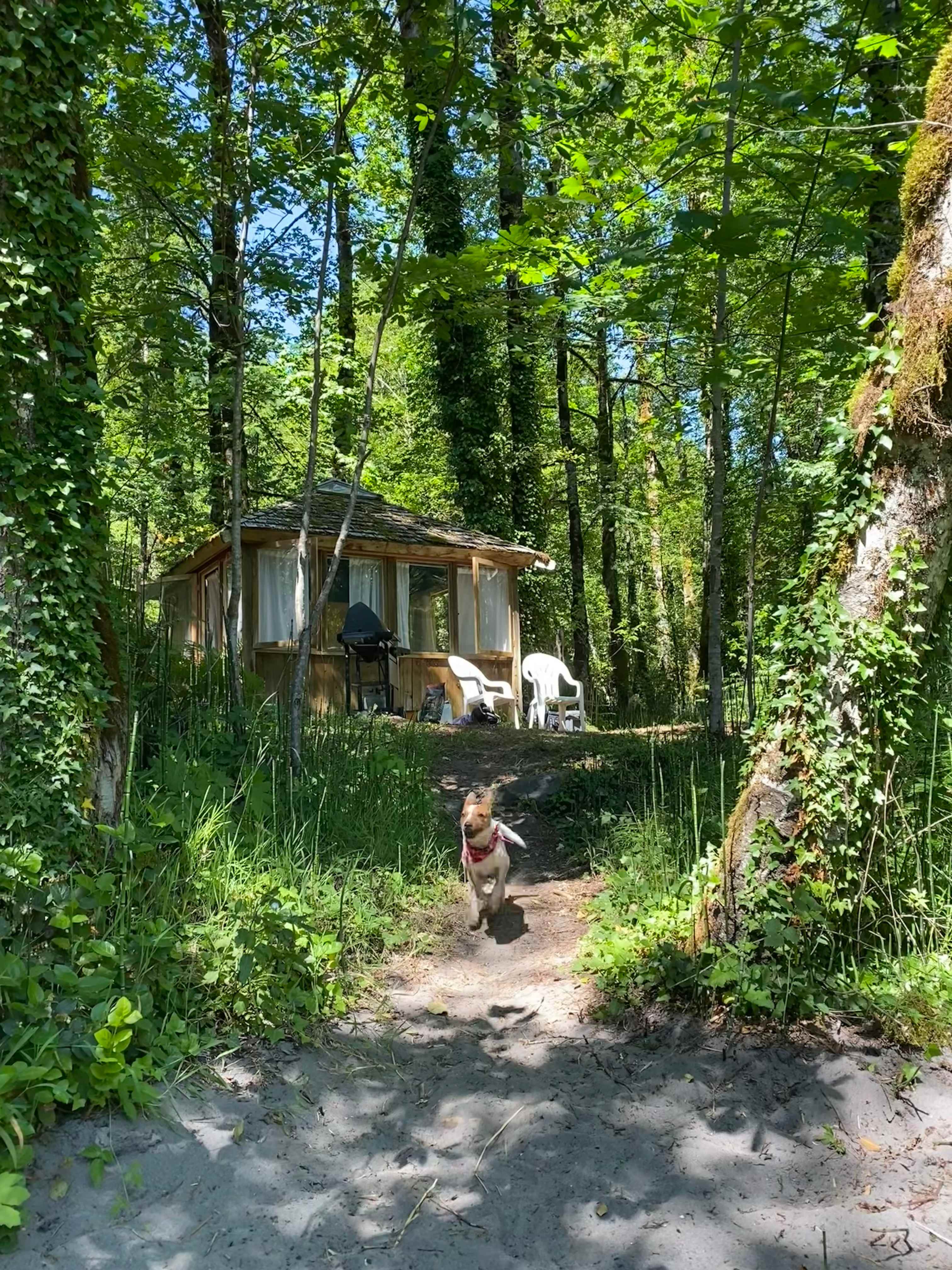 Picture of the site