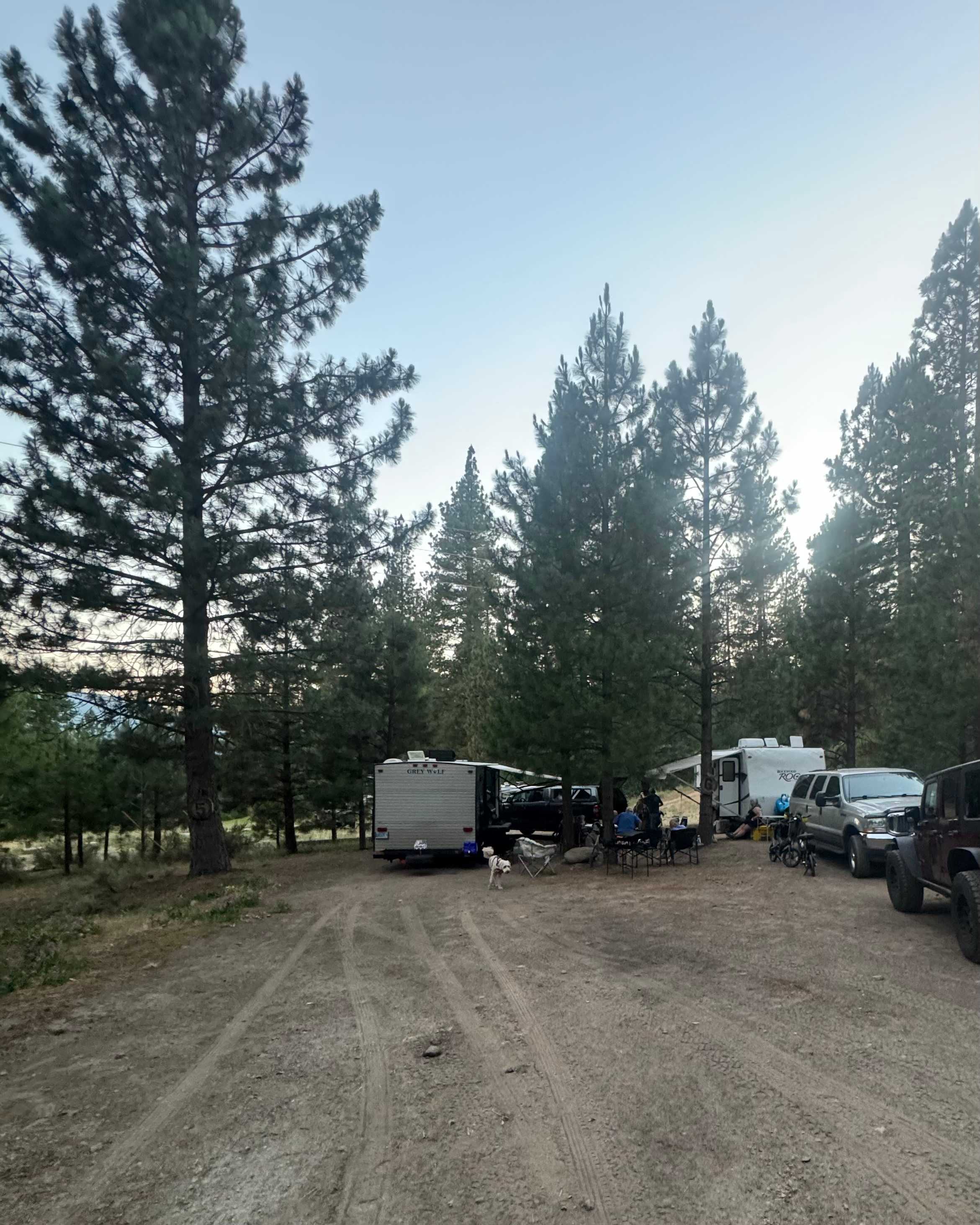 Picture of the site