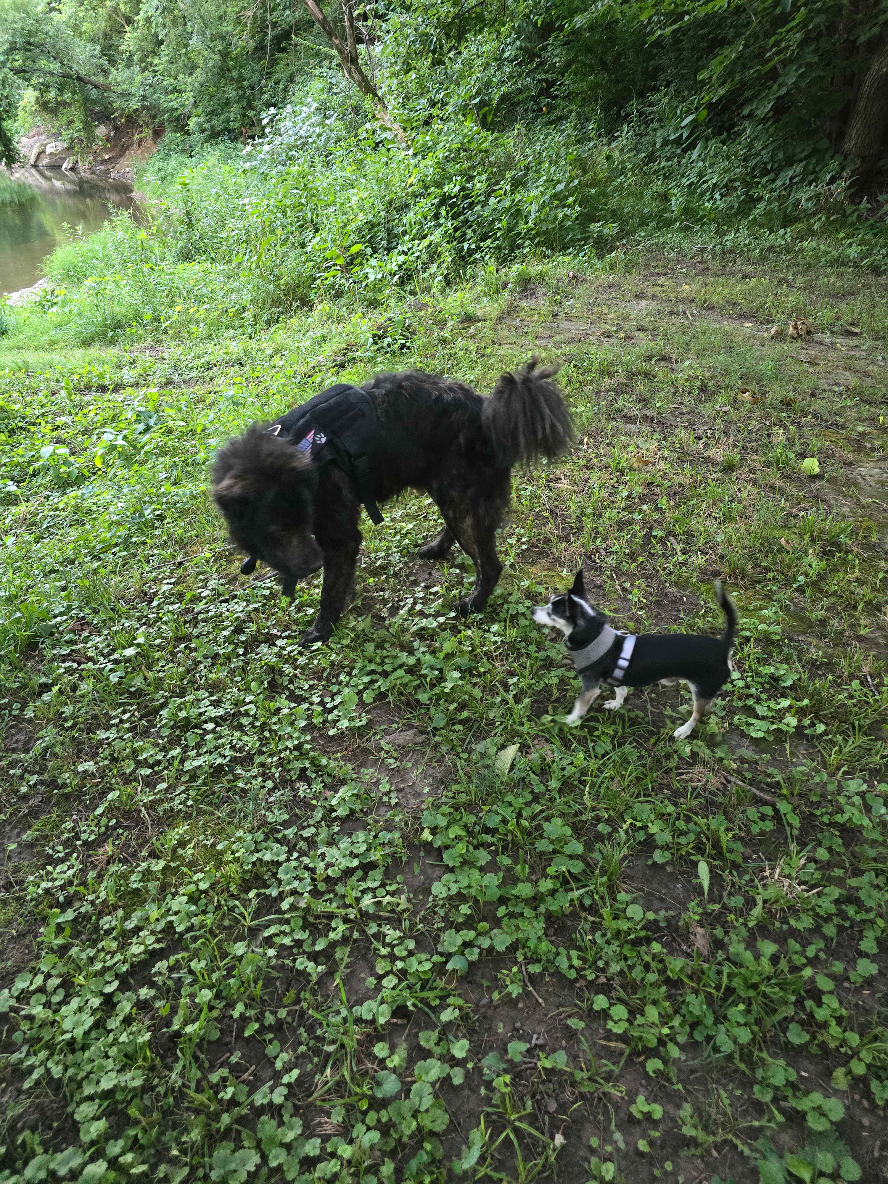 Foreaker Farm/Creek Side Valley