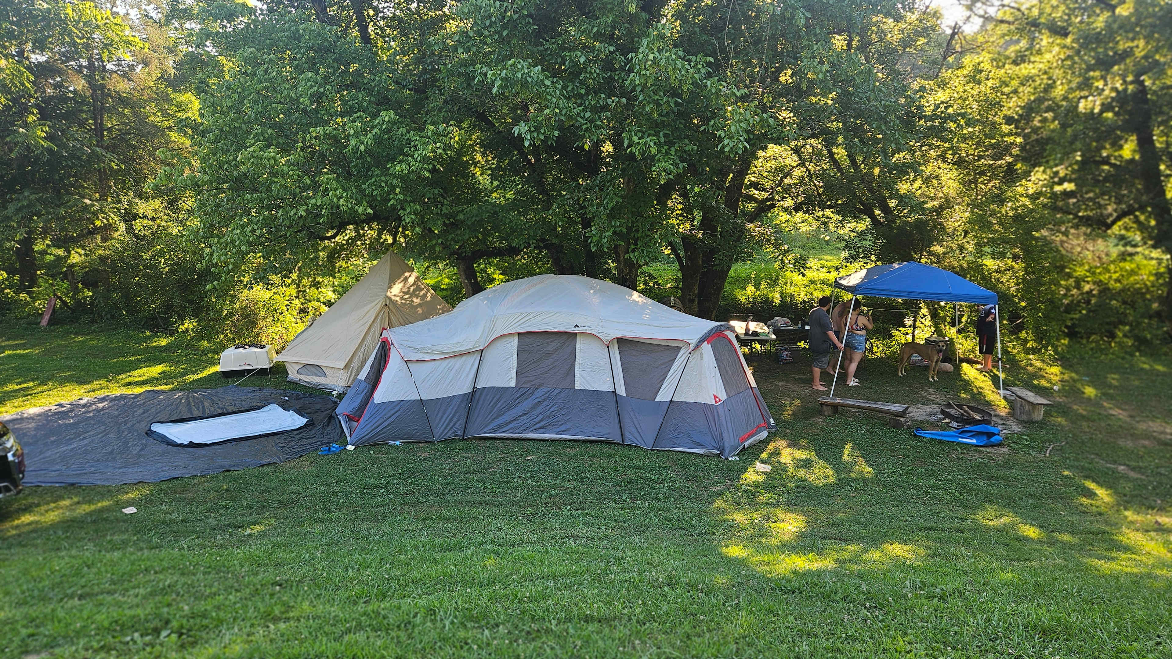 Picture of the site