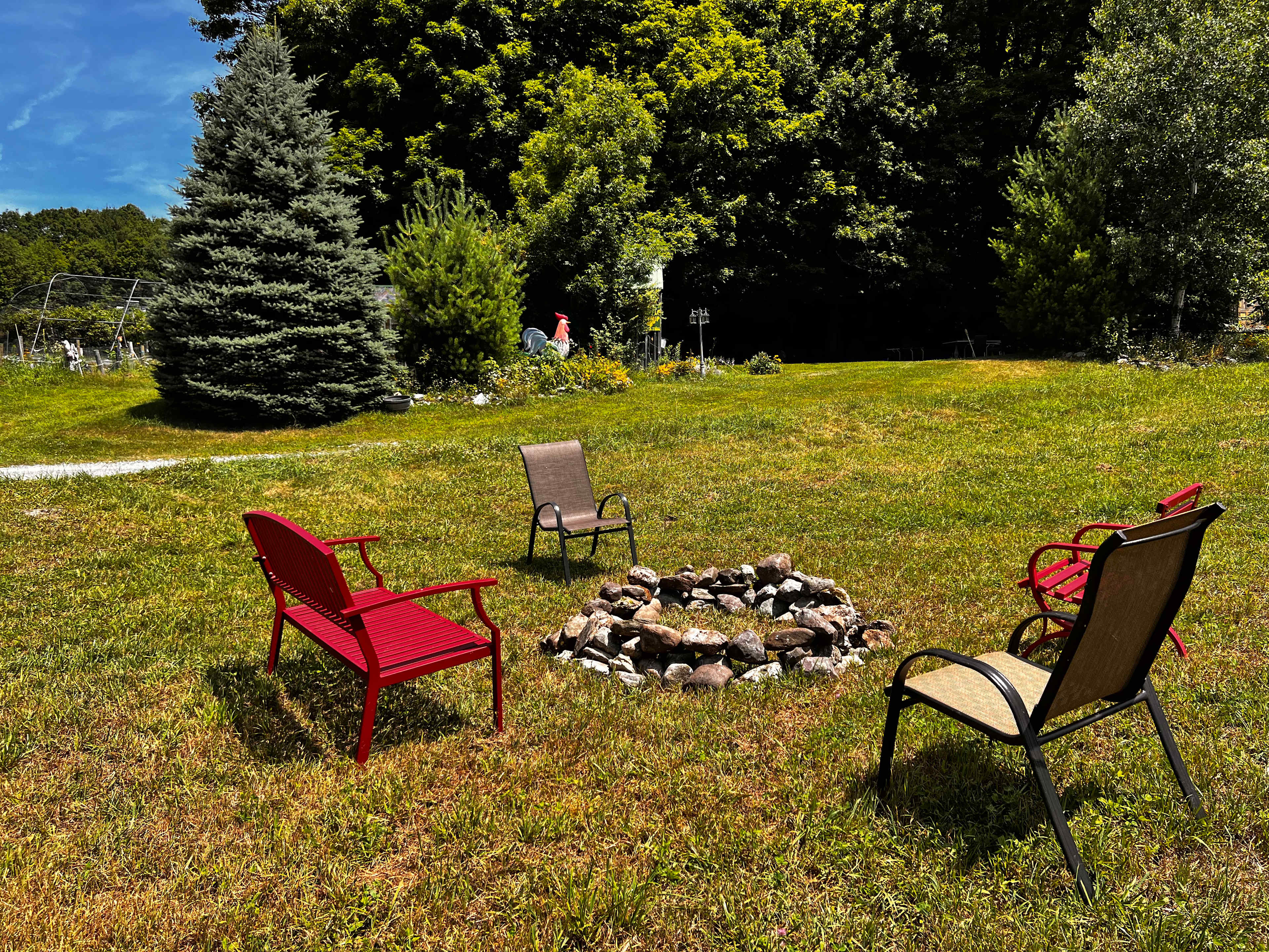 Picture of the site
