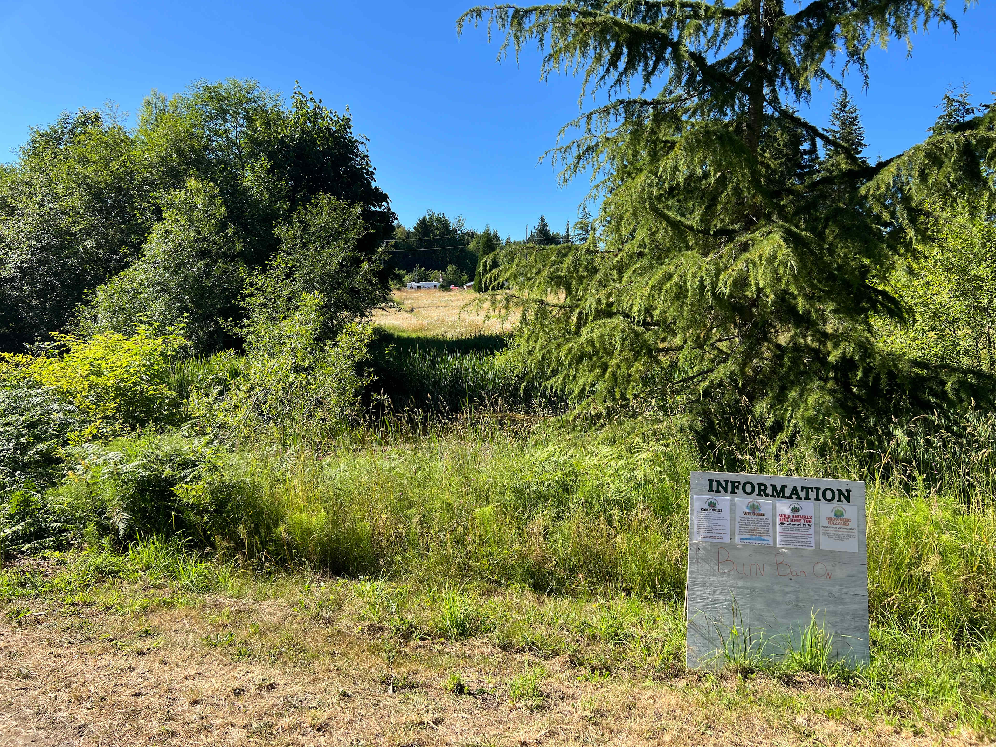 Picture of the site