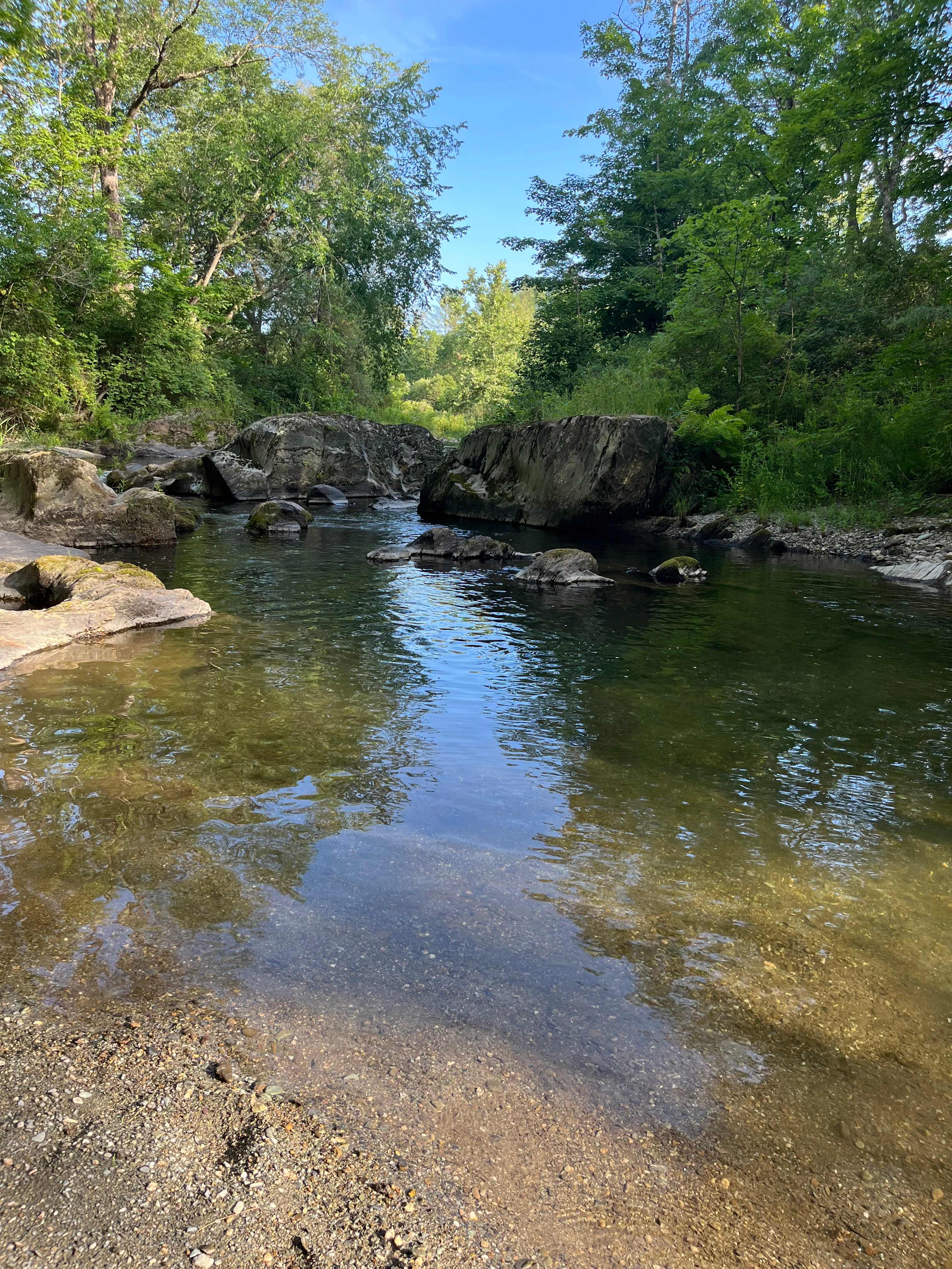 Picture of the site