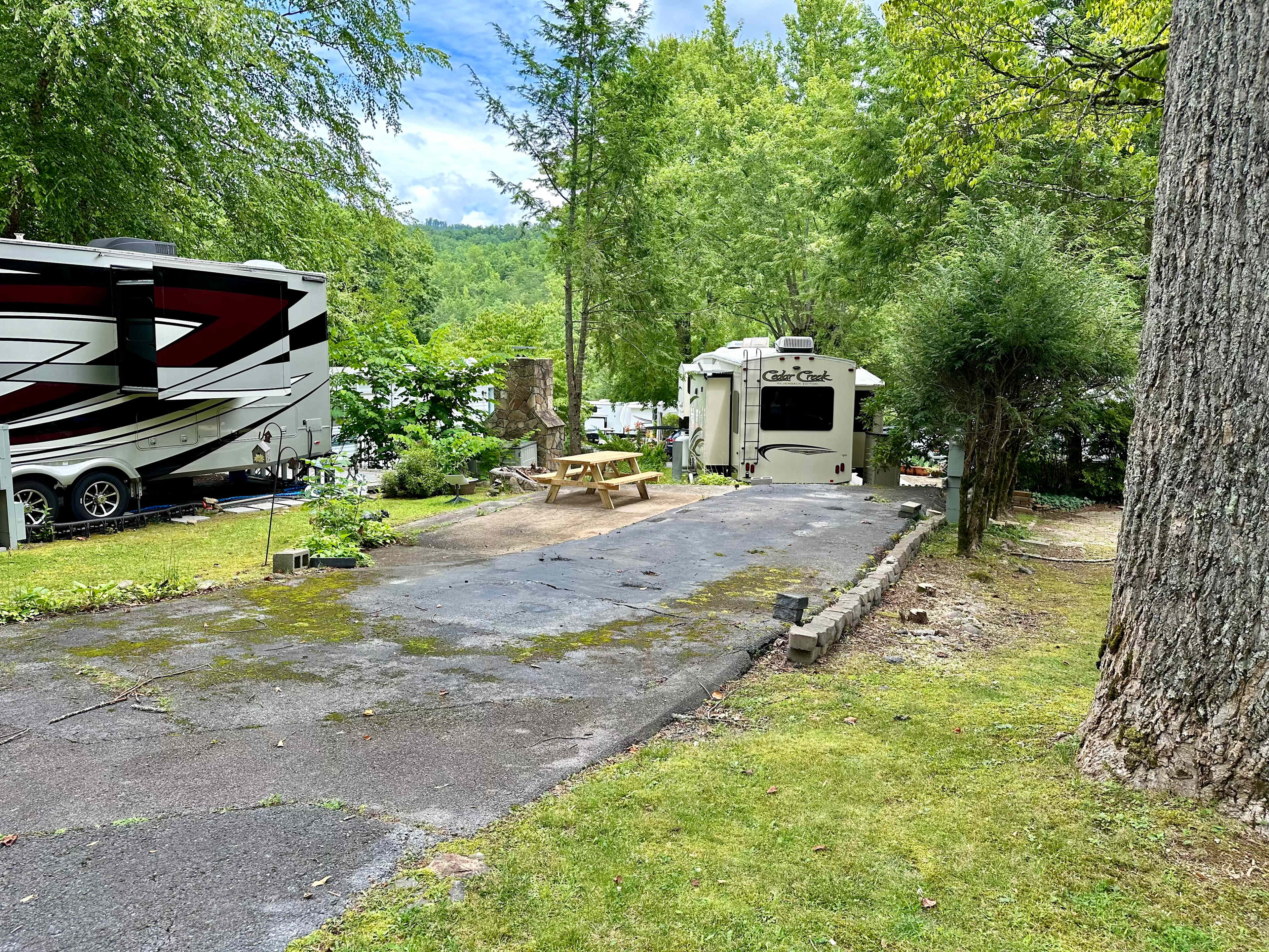 Crofty Bear: RV Campsite Gatlinburg