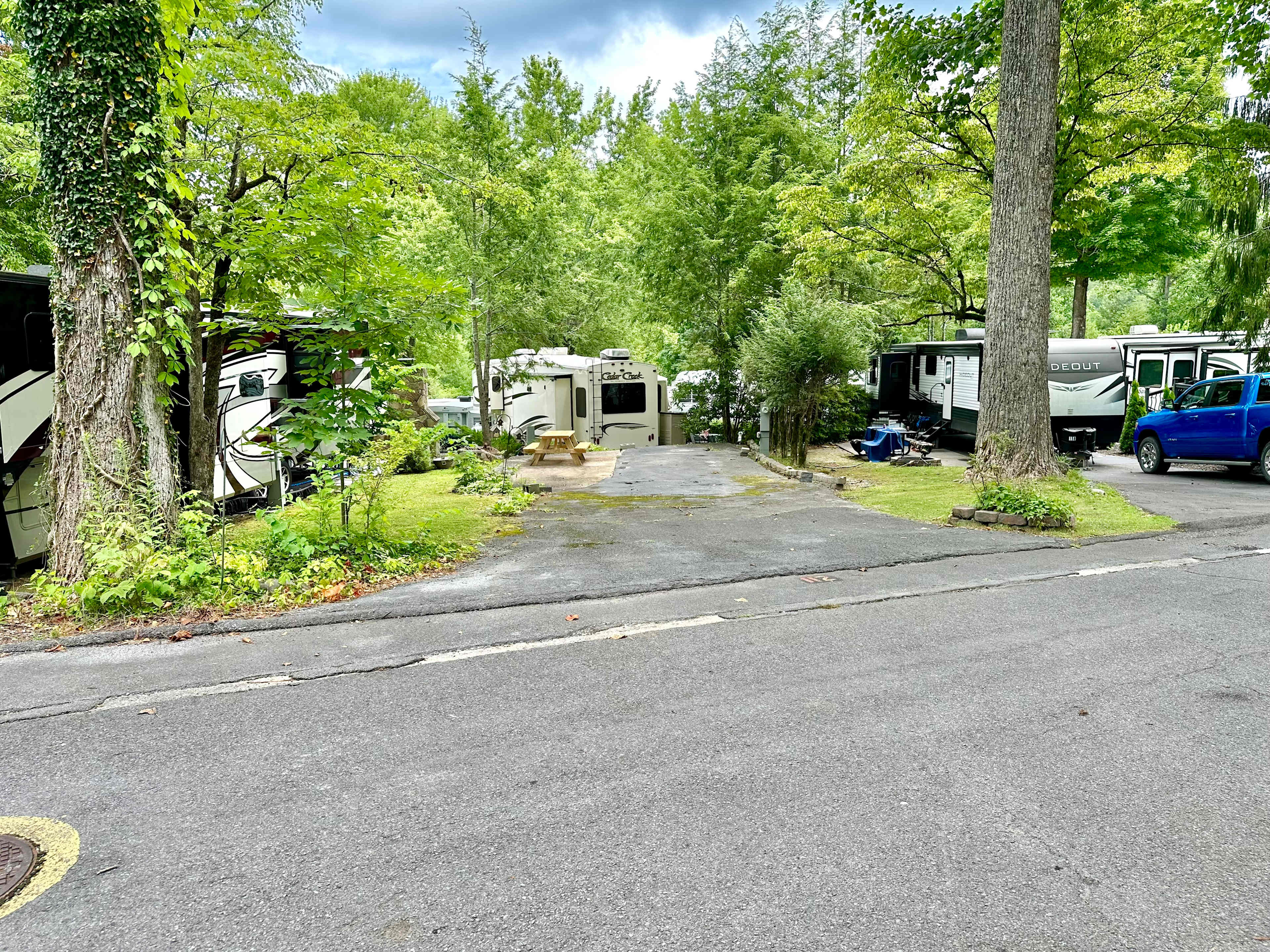 Picture of the site