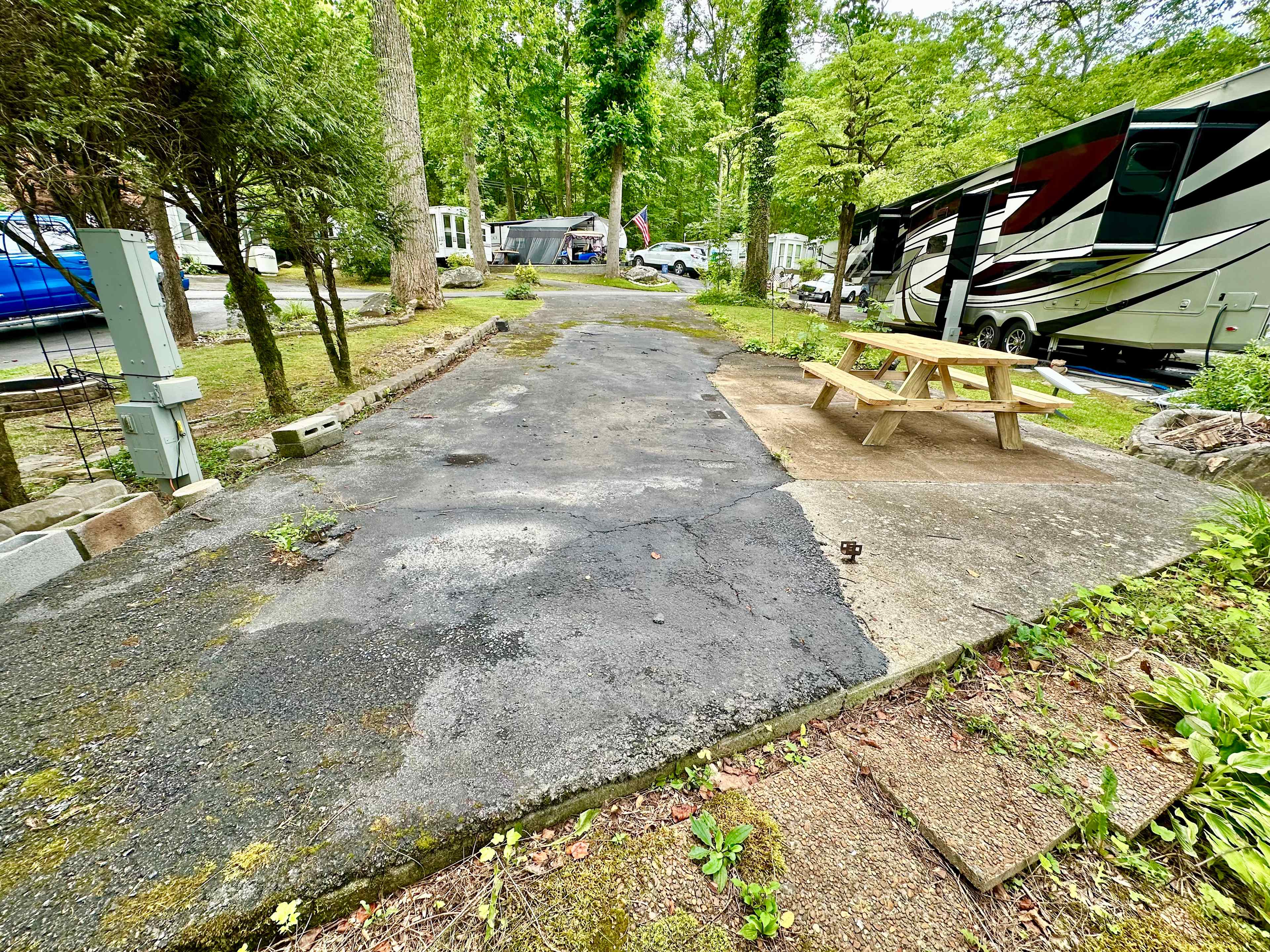 Picture of the site