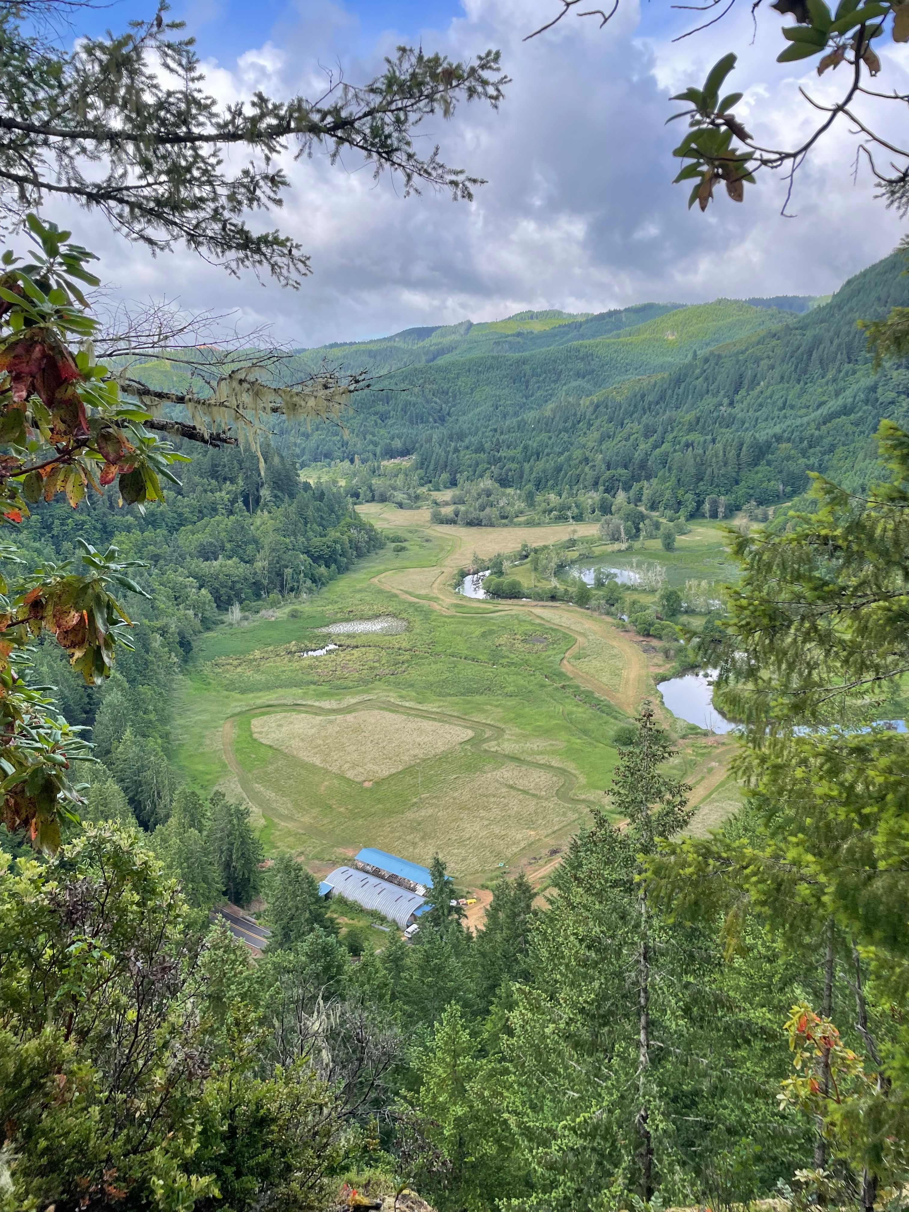 Picture of the site