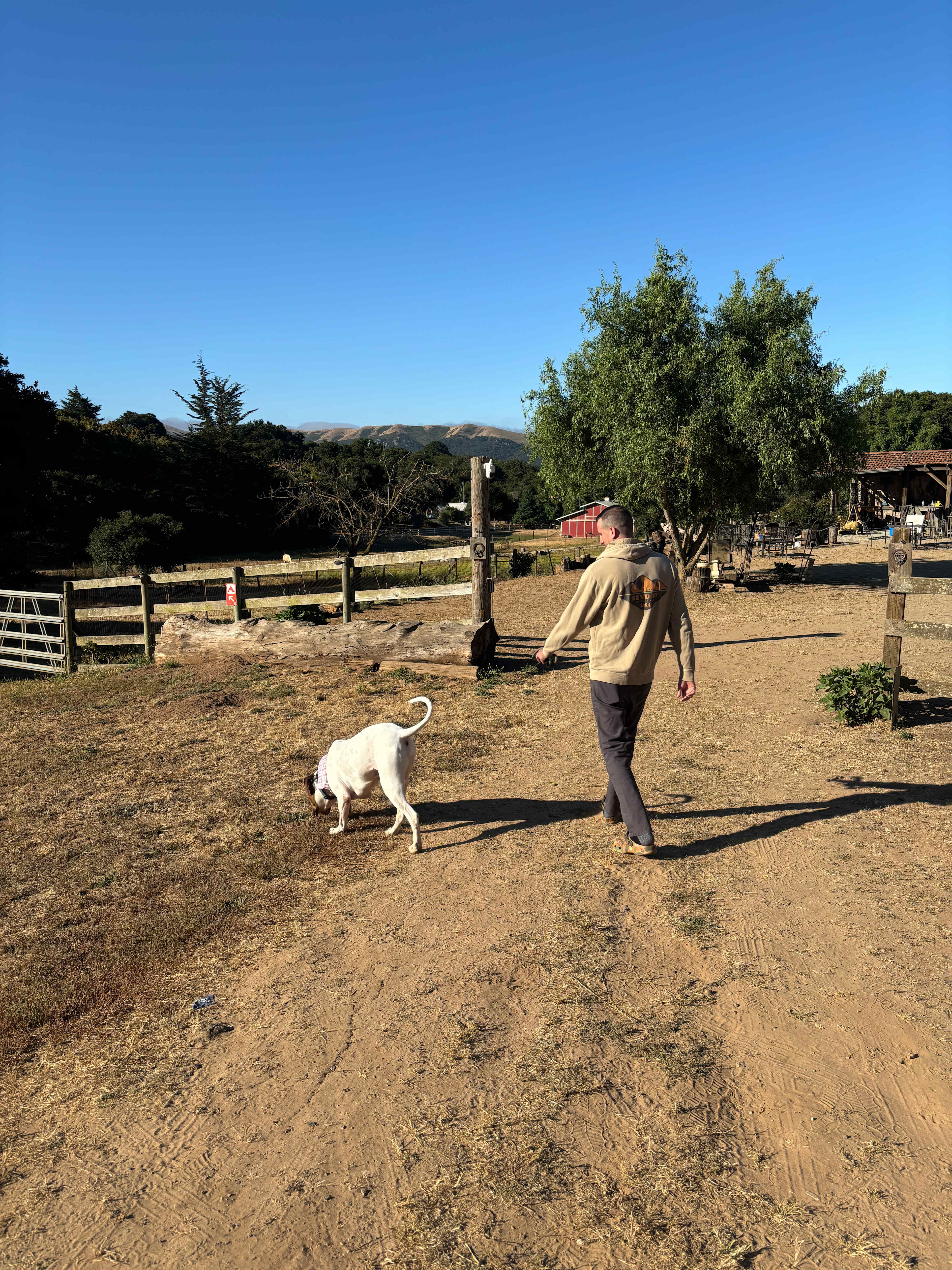 Dogs Welcome! Nearby Getaway