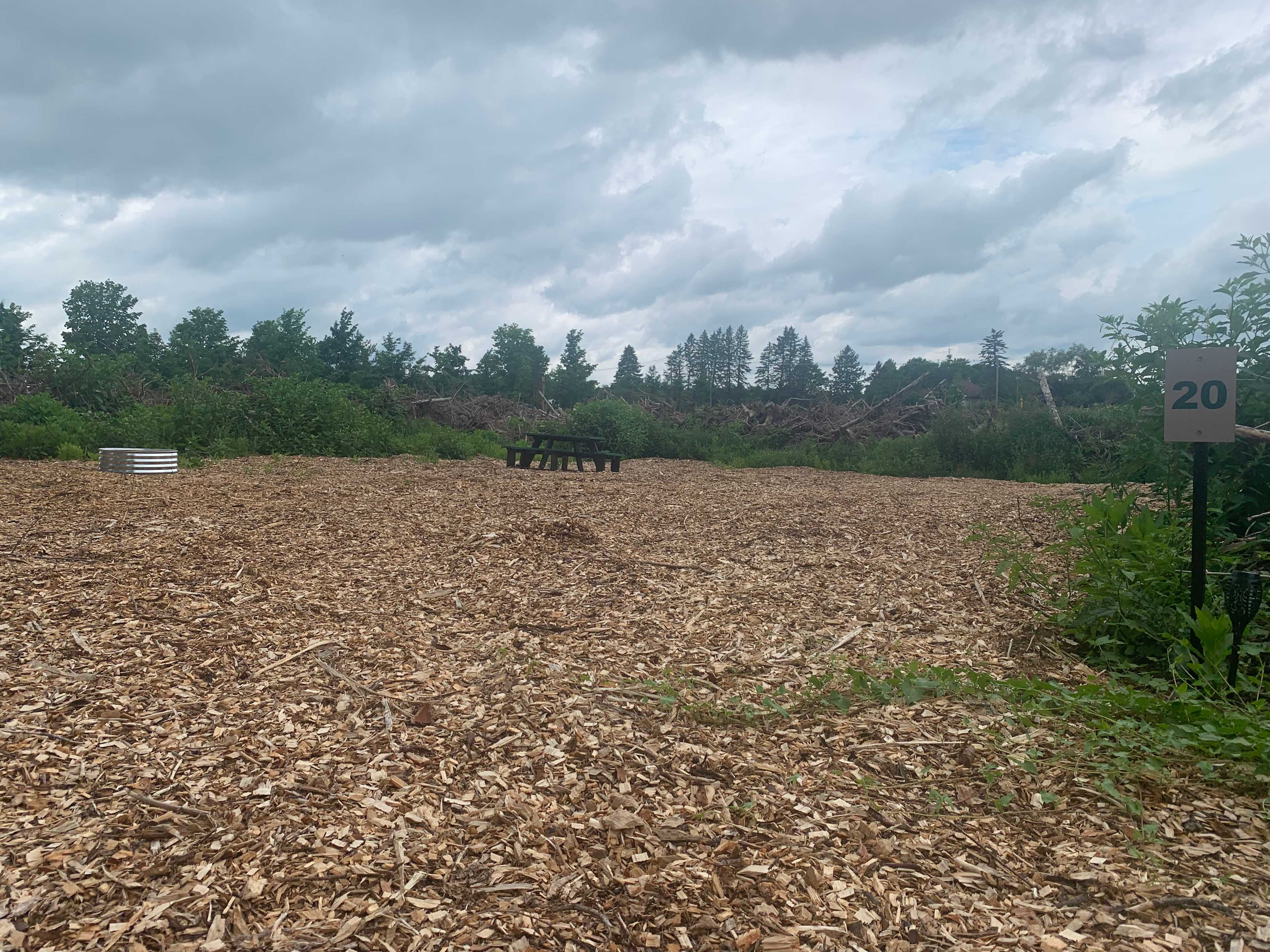 Picture of the site