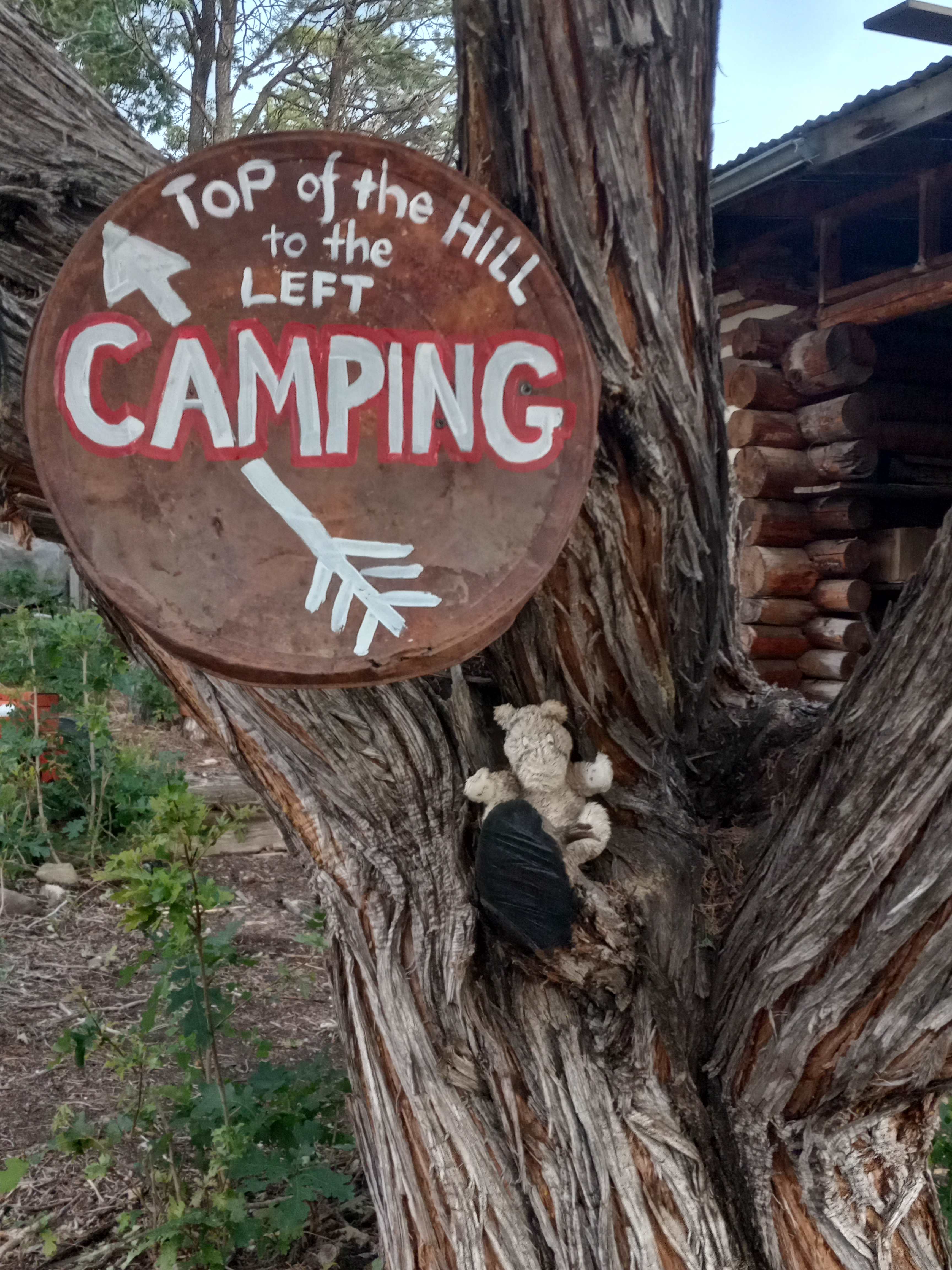 Little River Mountain Camp