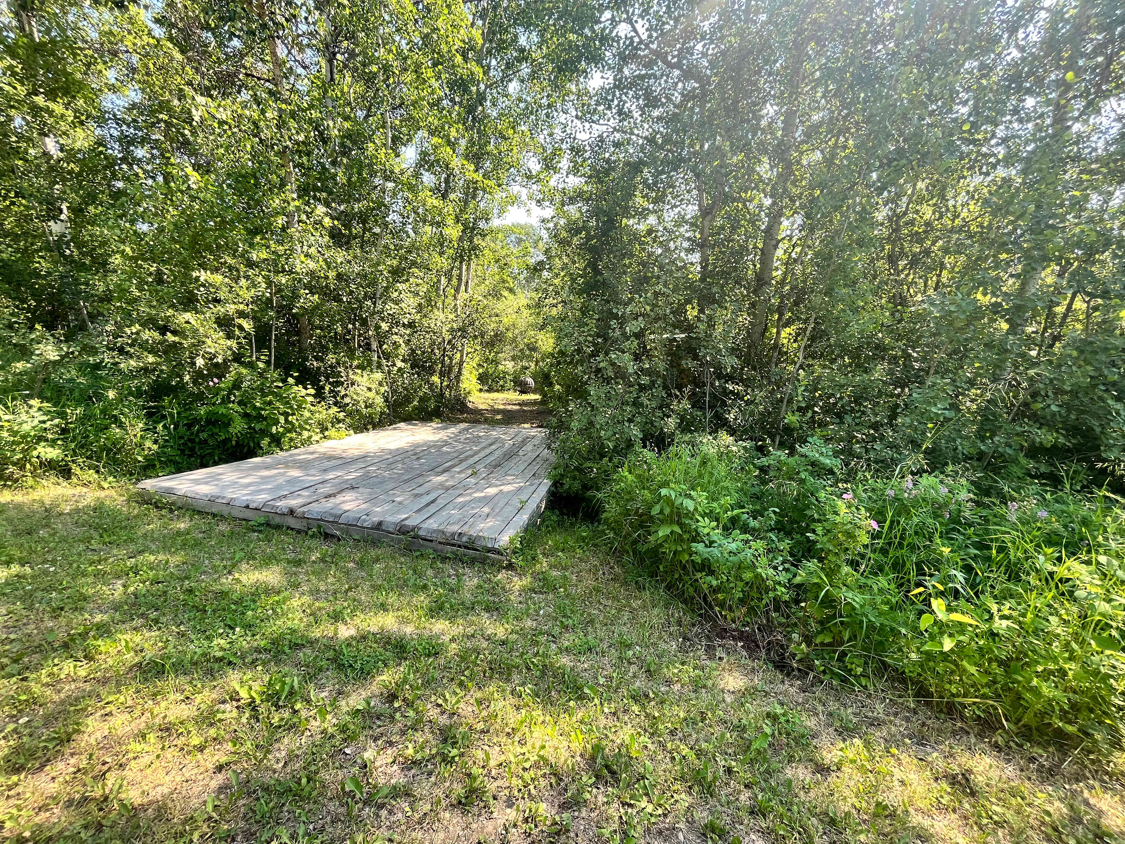 Picture of the site