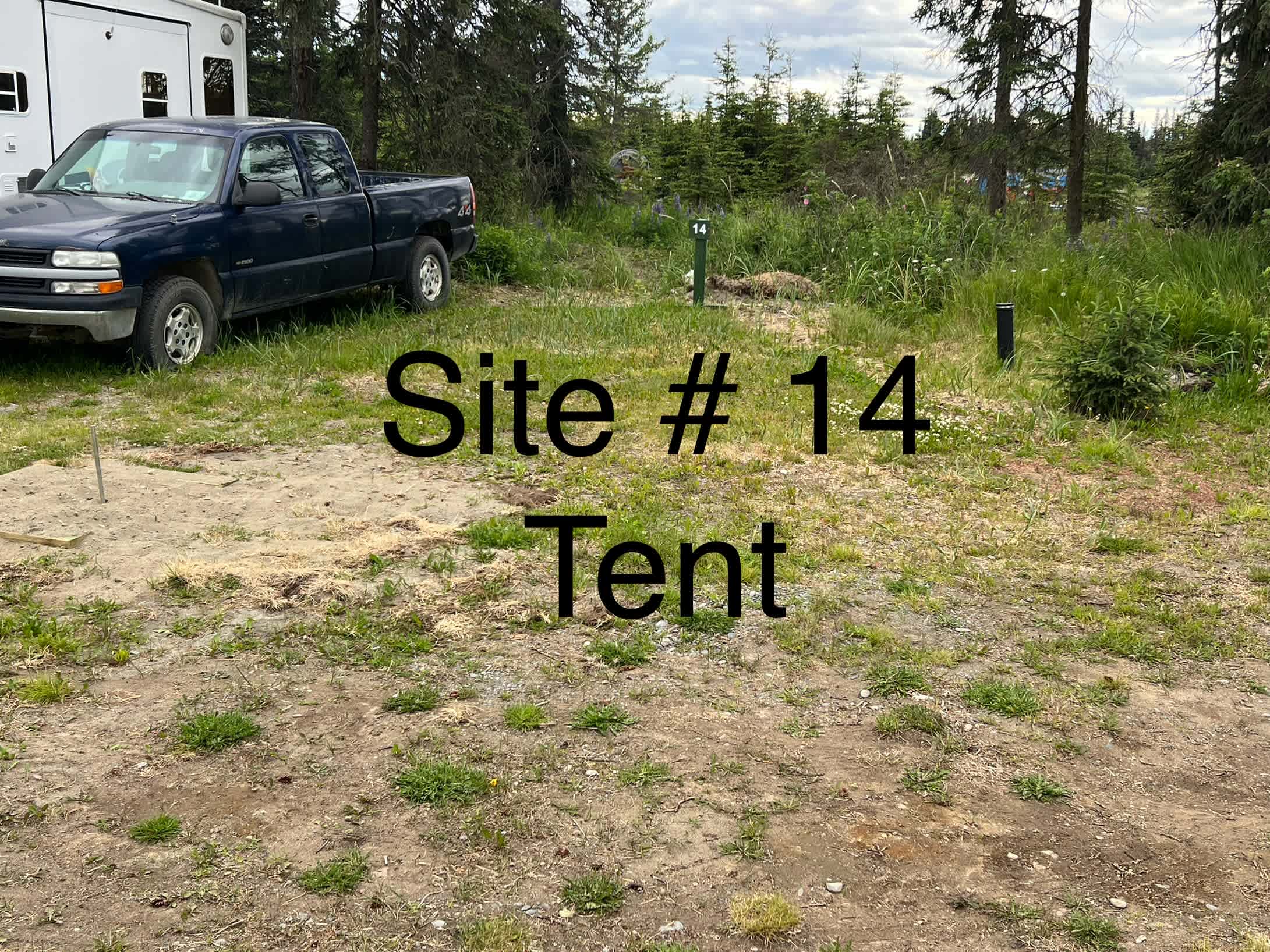 Picture of the site