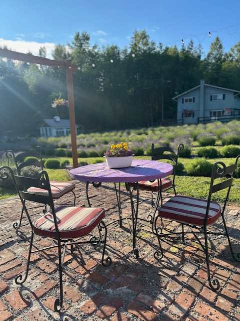 Pace Family Lavender & Hobby Farm