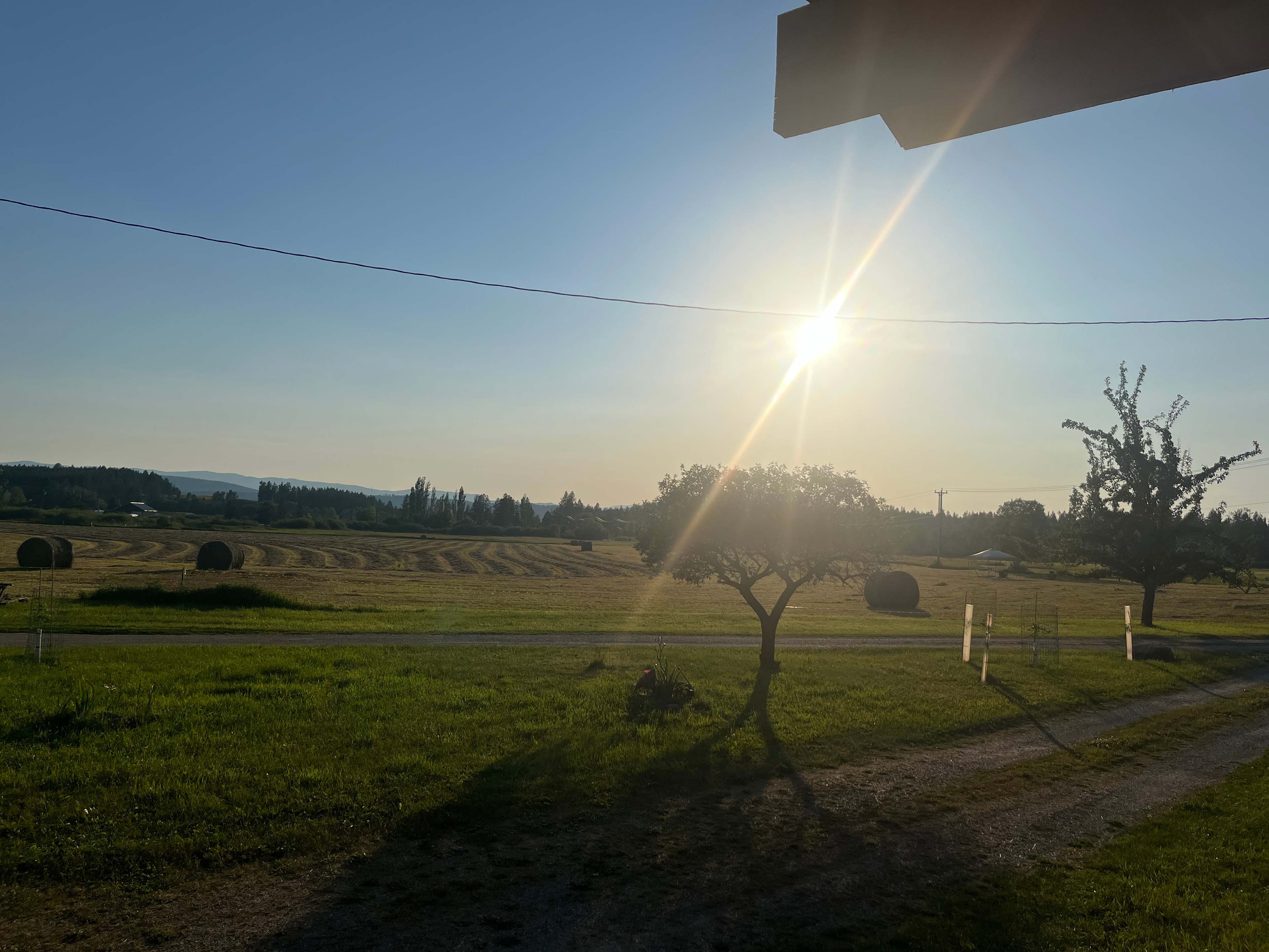 Fawcett Farms - 1 minute to UTBS!