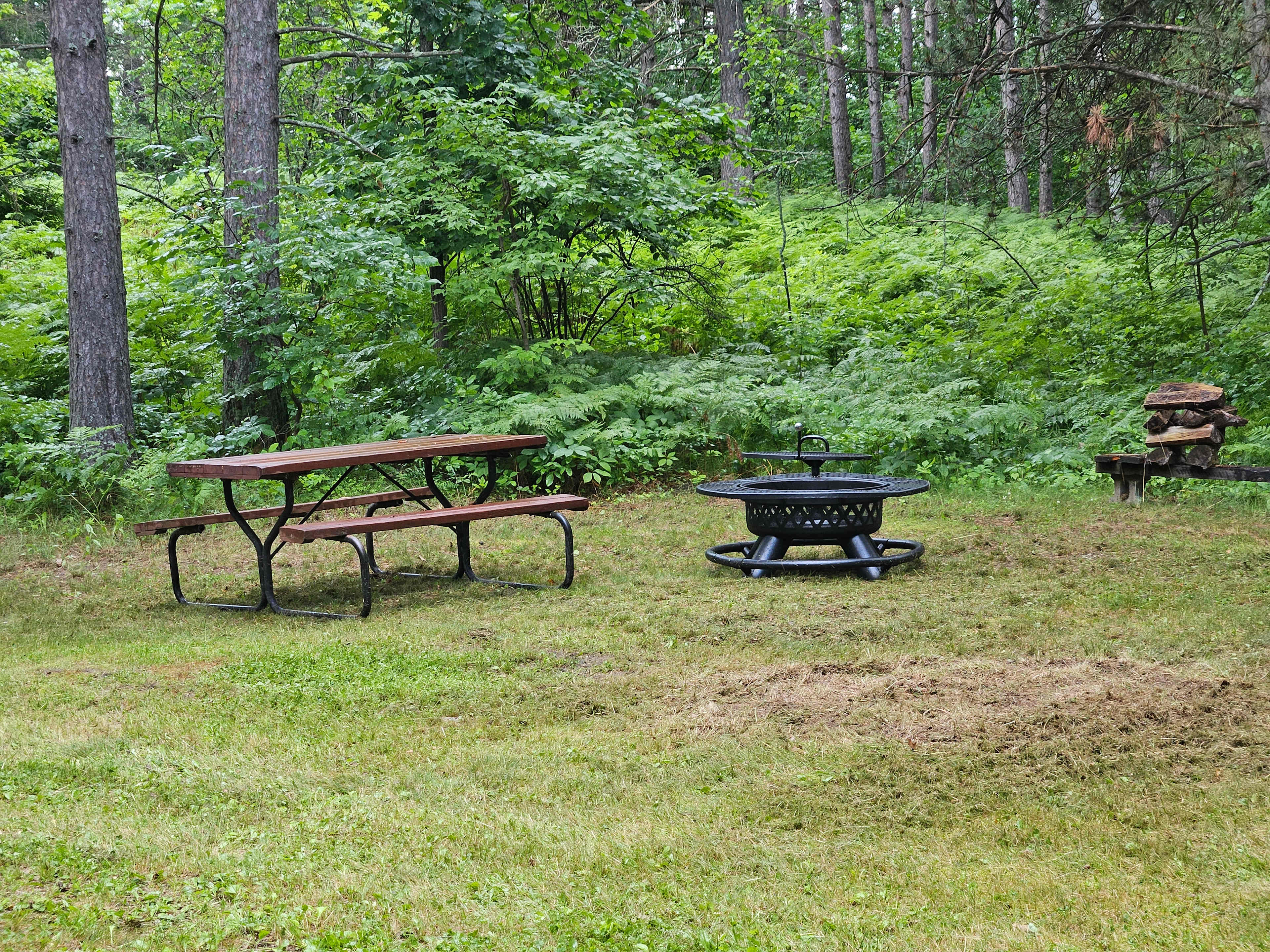 Camp among the pines on Little Jay