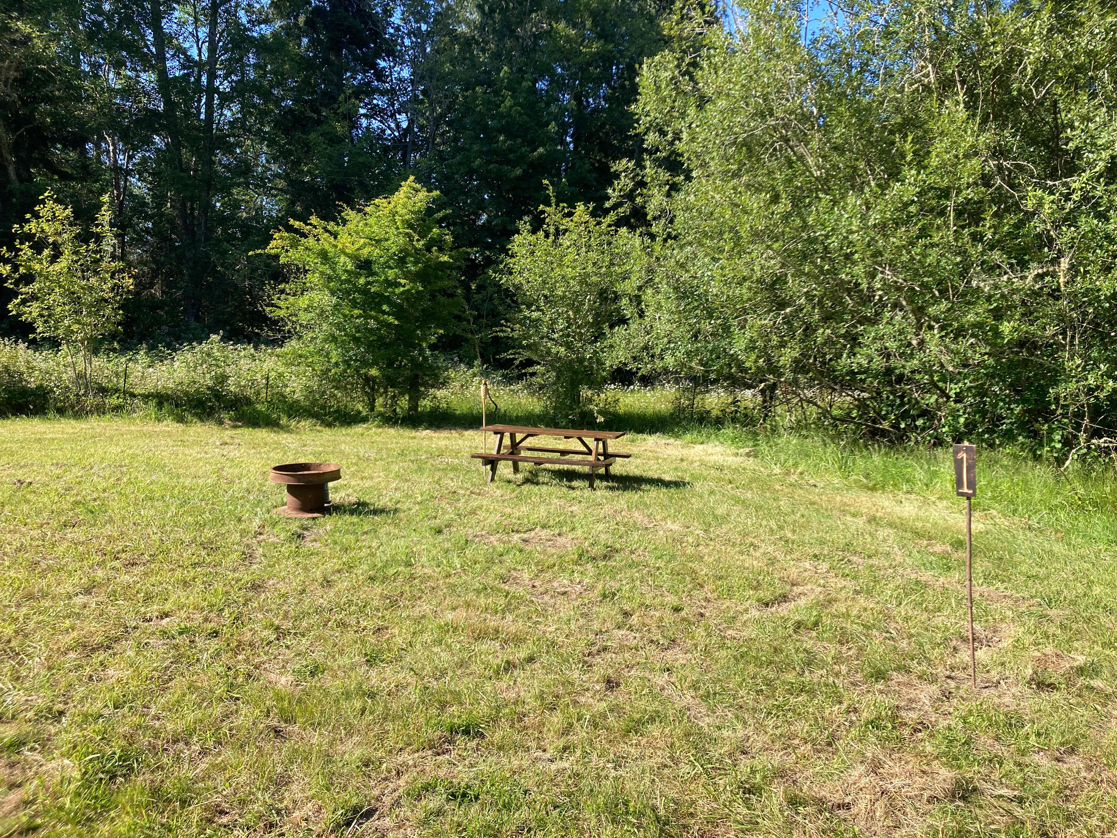 Picture of the site