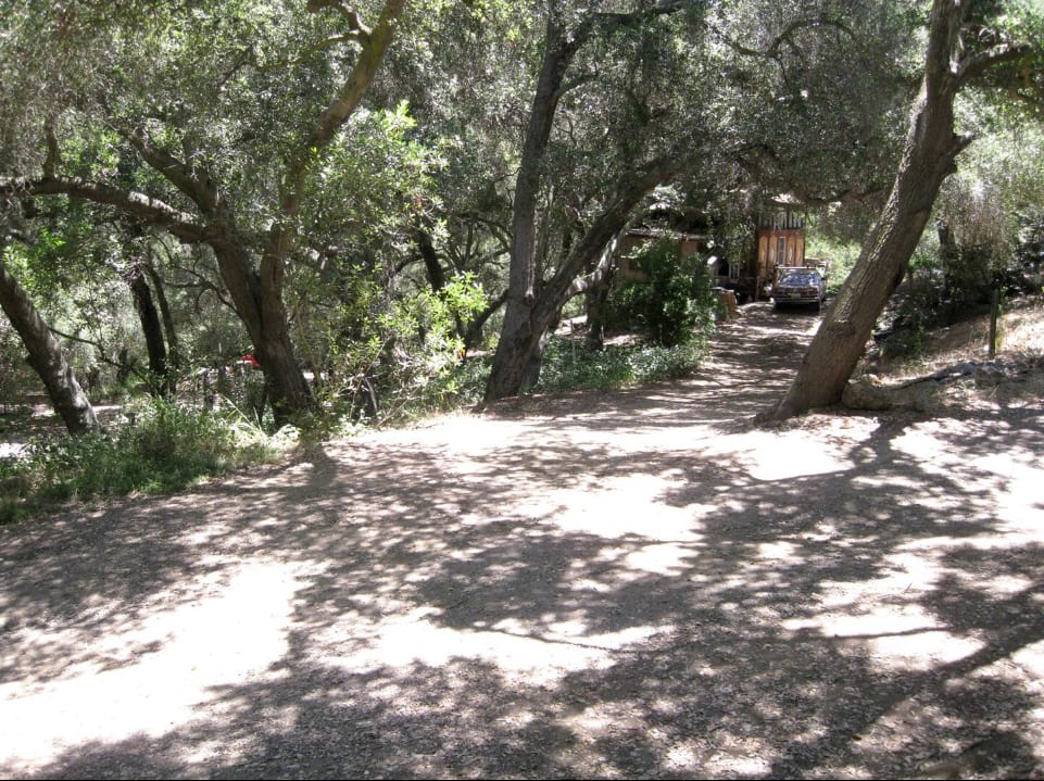 7” Home Grown Oasis NONE Pony Canyon, Overhea /00080 gjhikes.com: Big Wash