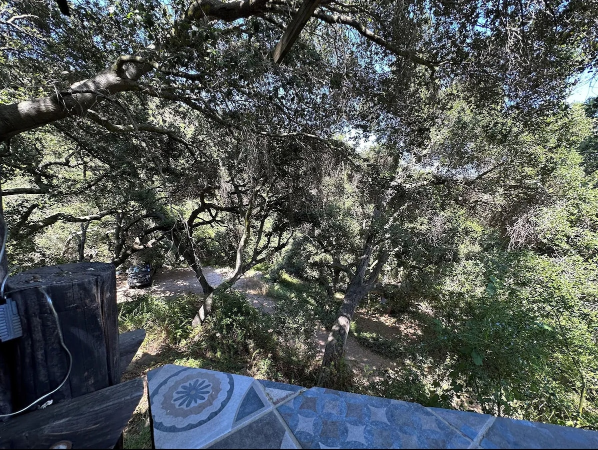 Topanga Oasis - Hipcamp in Topanga, California