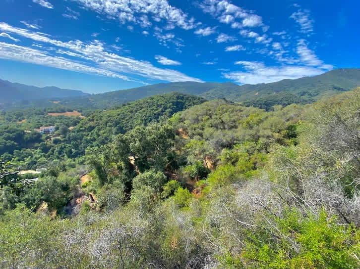 Topanga Oasis