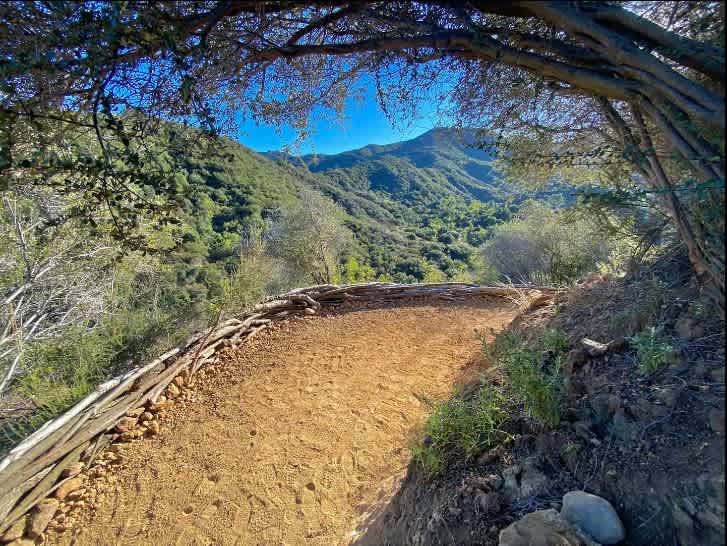 Topanga Oasis