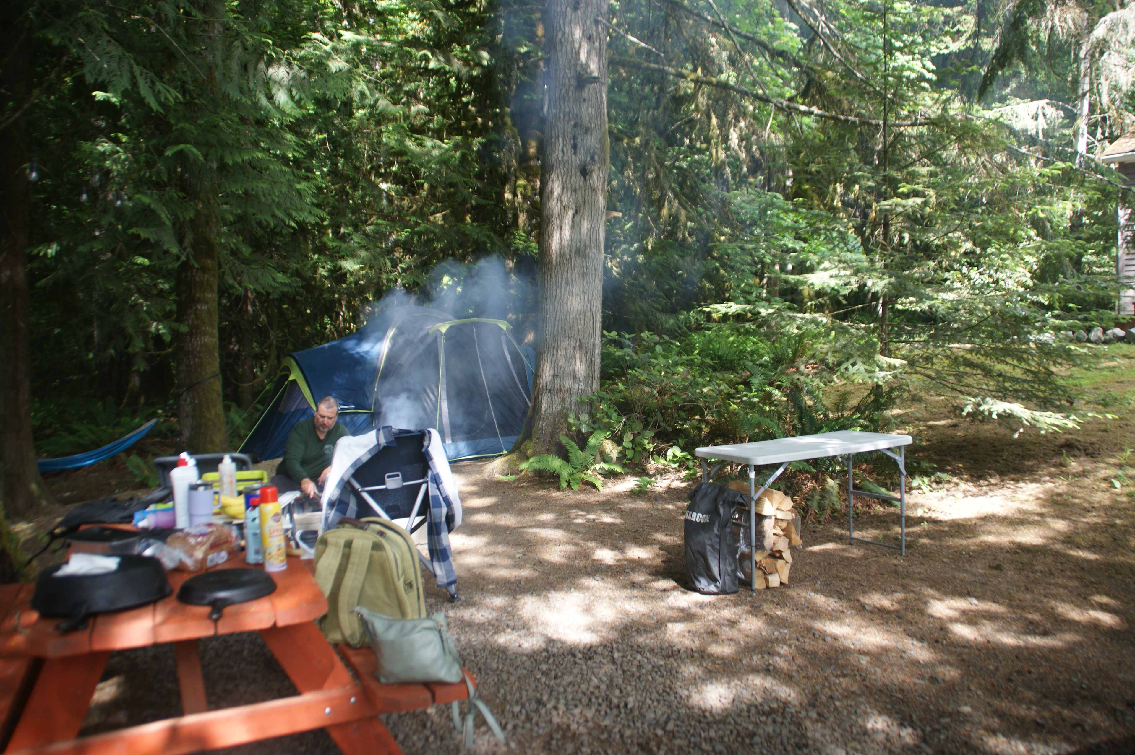 Picture of the site