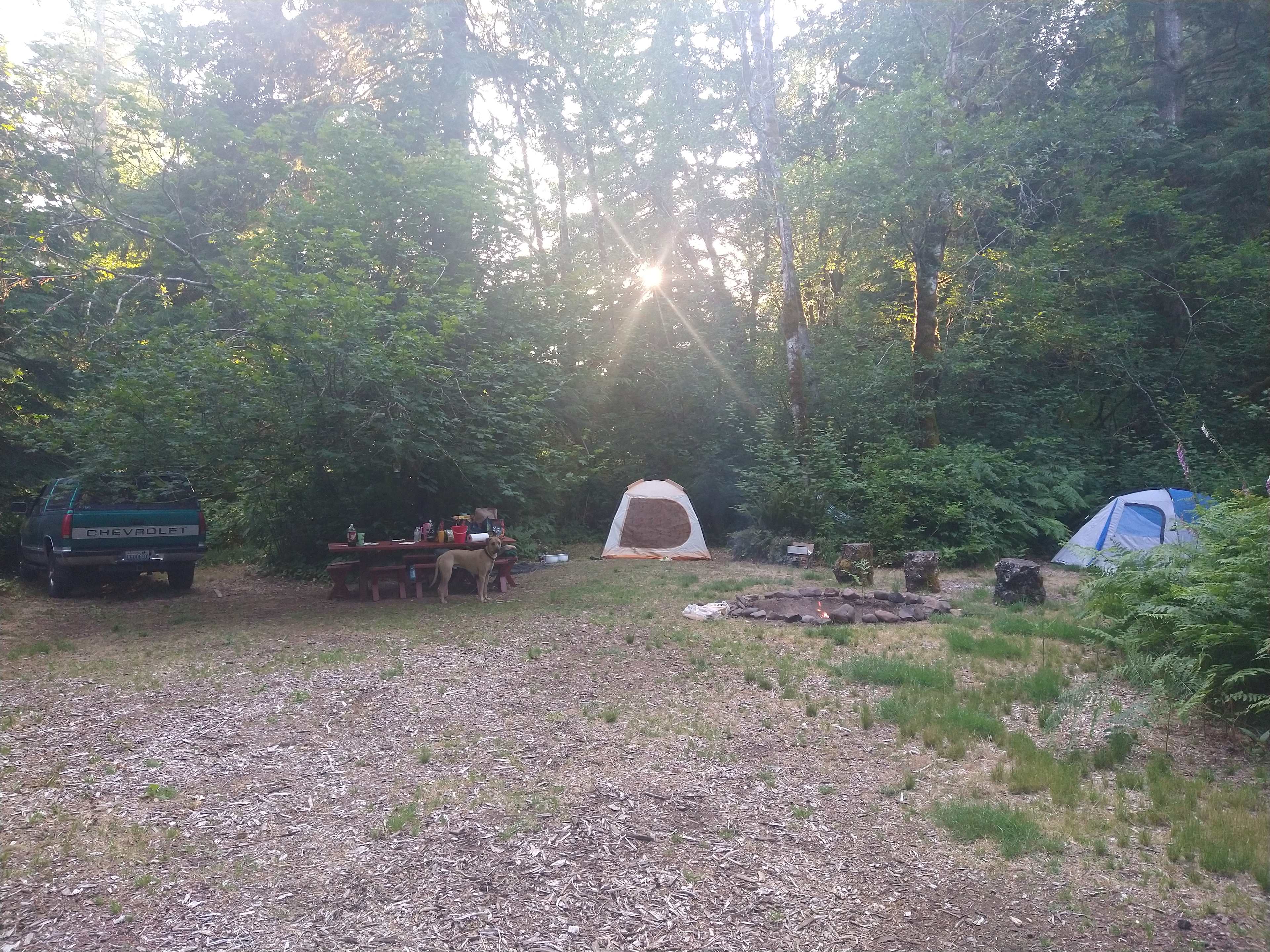 Picture of the site
