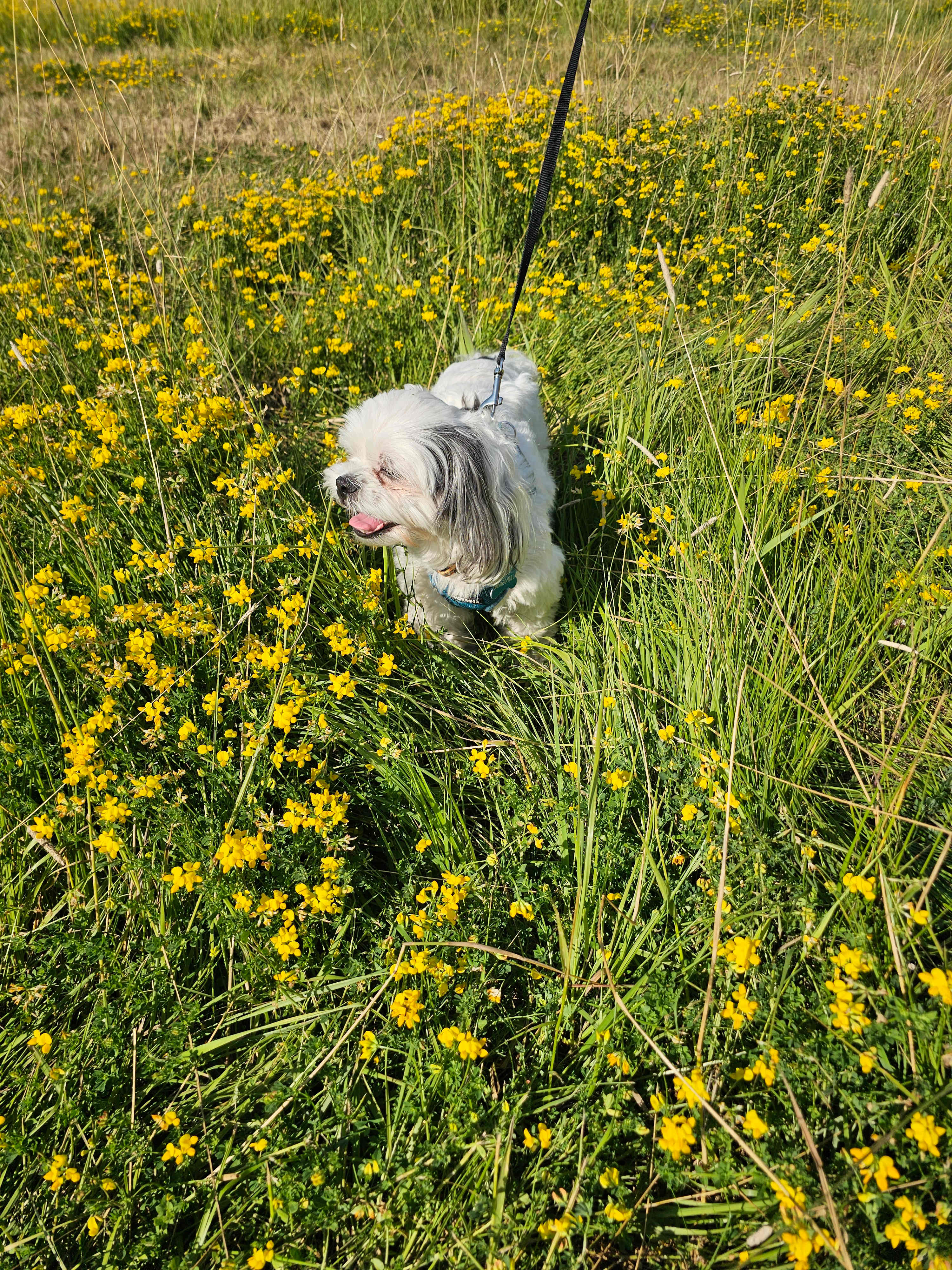 field area by our RV
